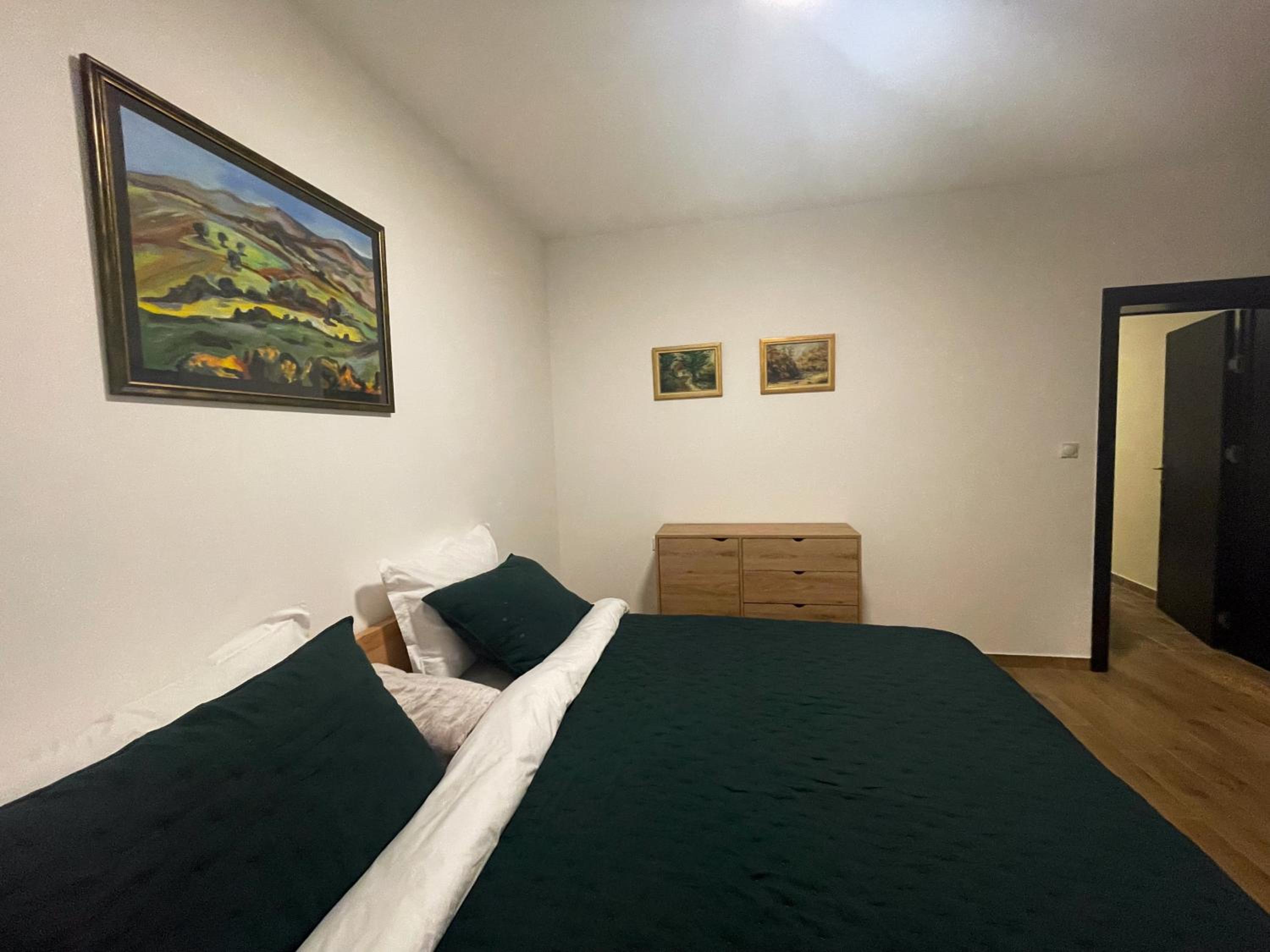 One-Bedroom Apartment photo 3