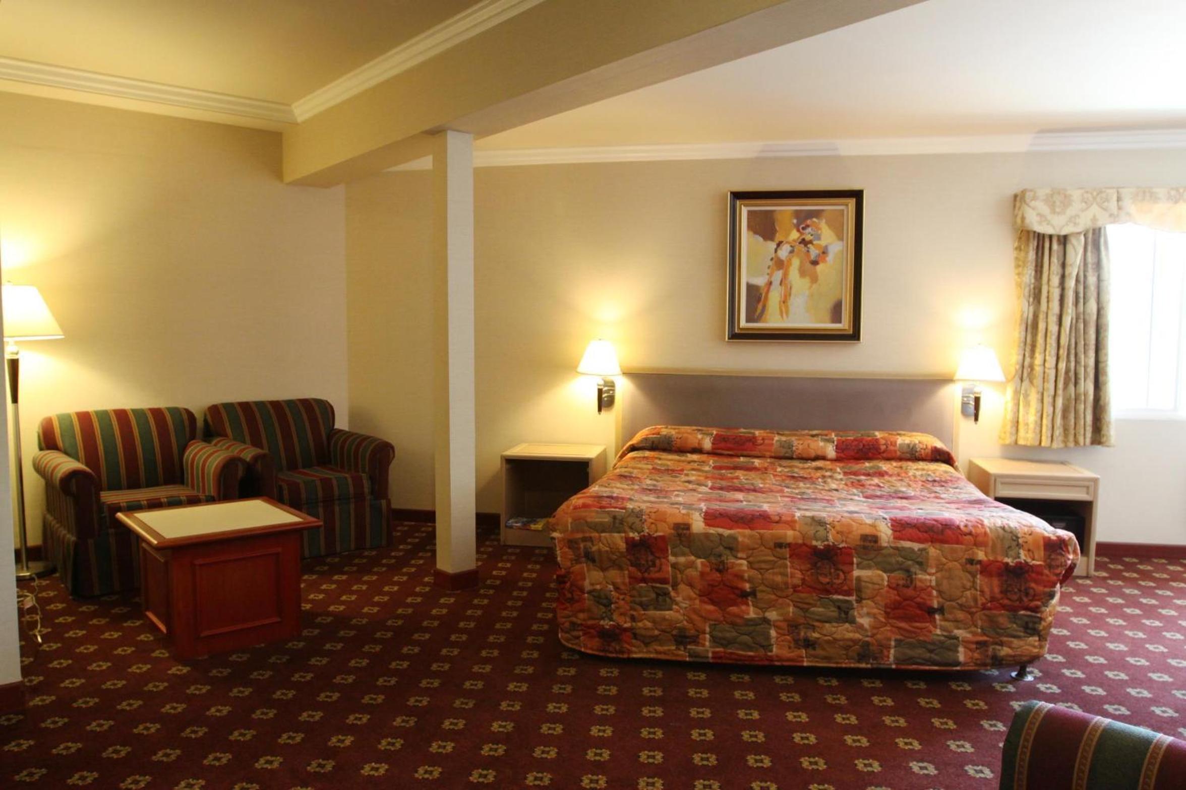 Suite Room photo 2