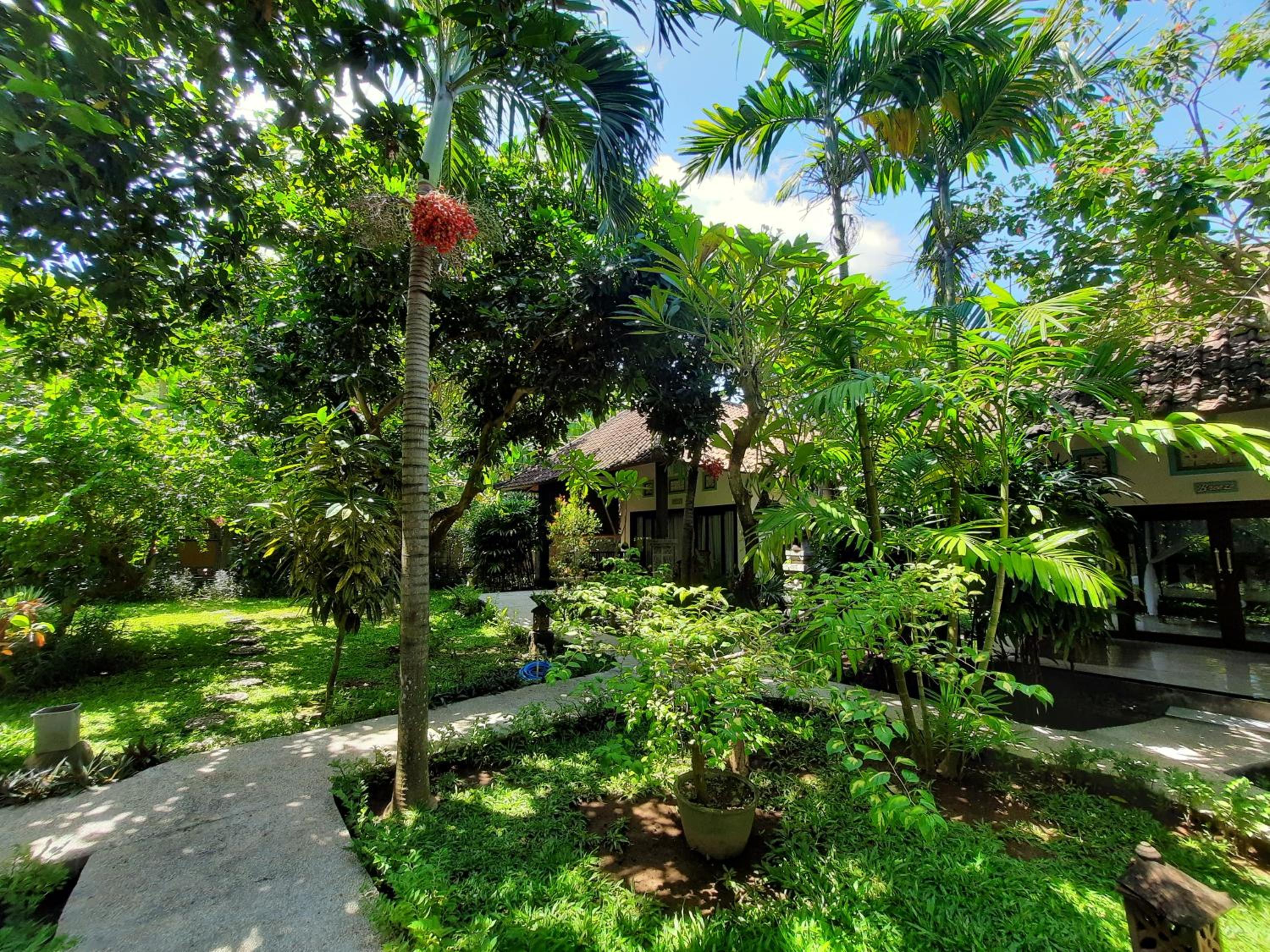 Double Room with Garden View - Photo 5