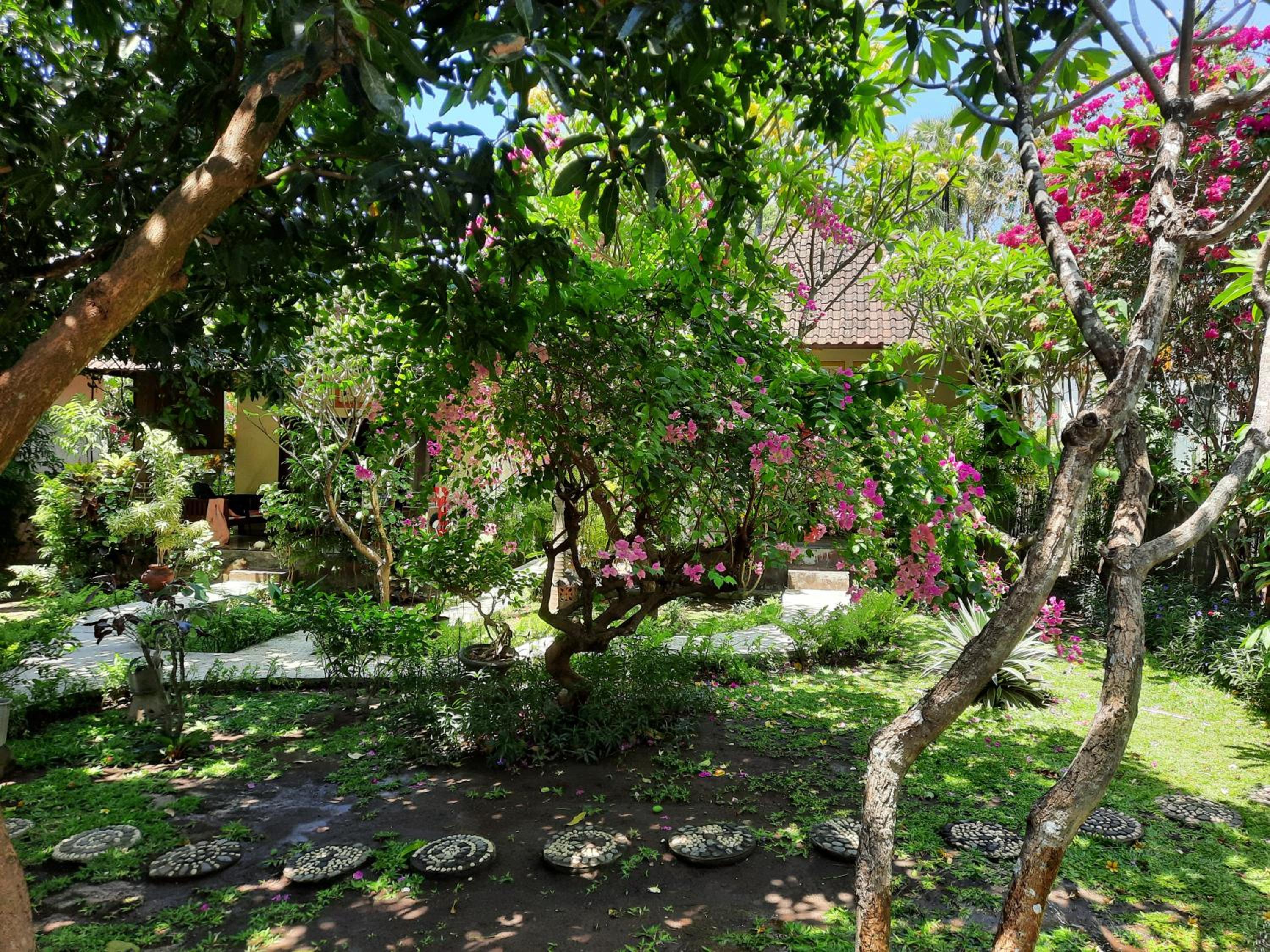 Double Room with Garden View - Photo 4