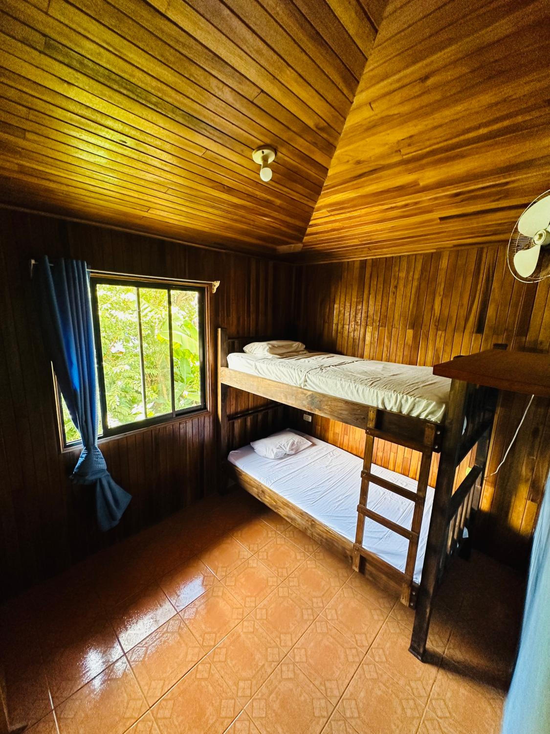 Bunk Bed in Mixed Dormitory Room