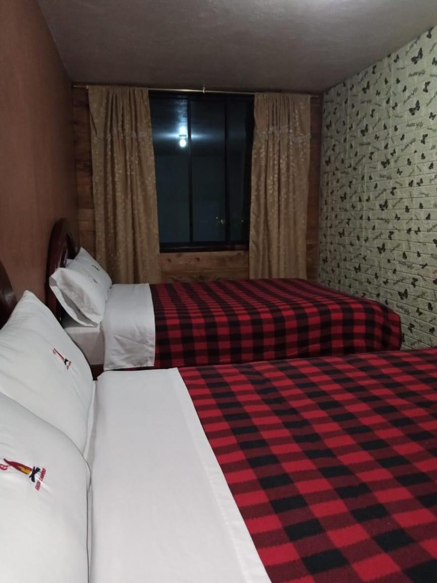 Twin Room photo 1