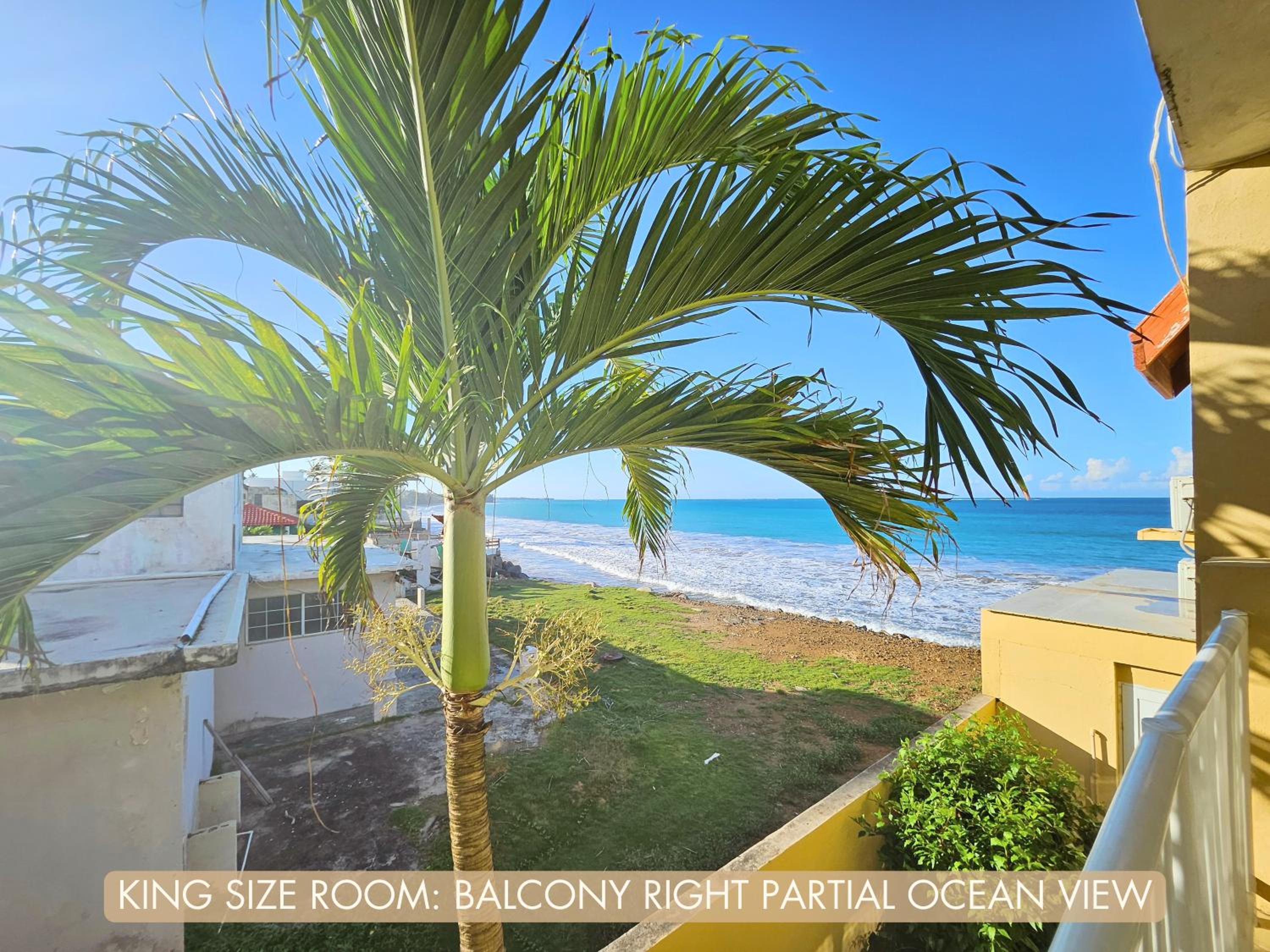 King Room with Sea View photo 2