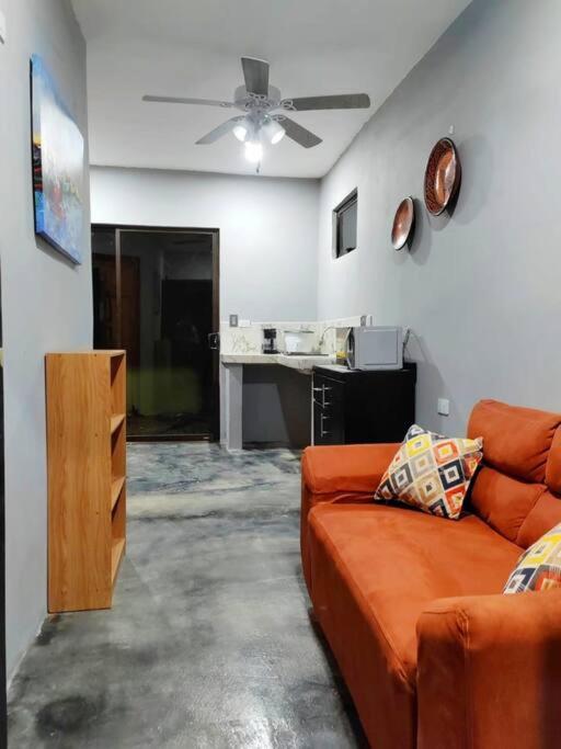 One-Bedroom Apartment photo 3