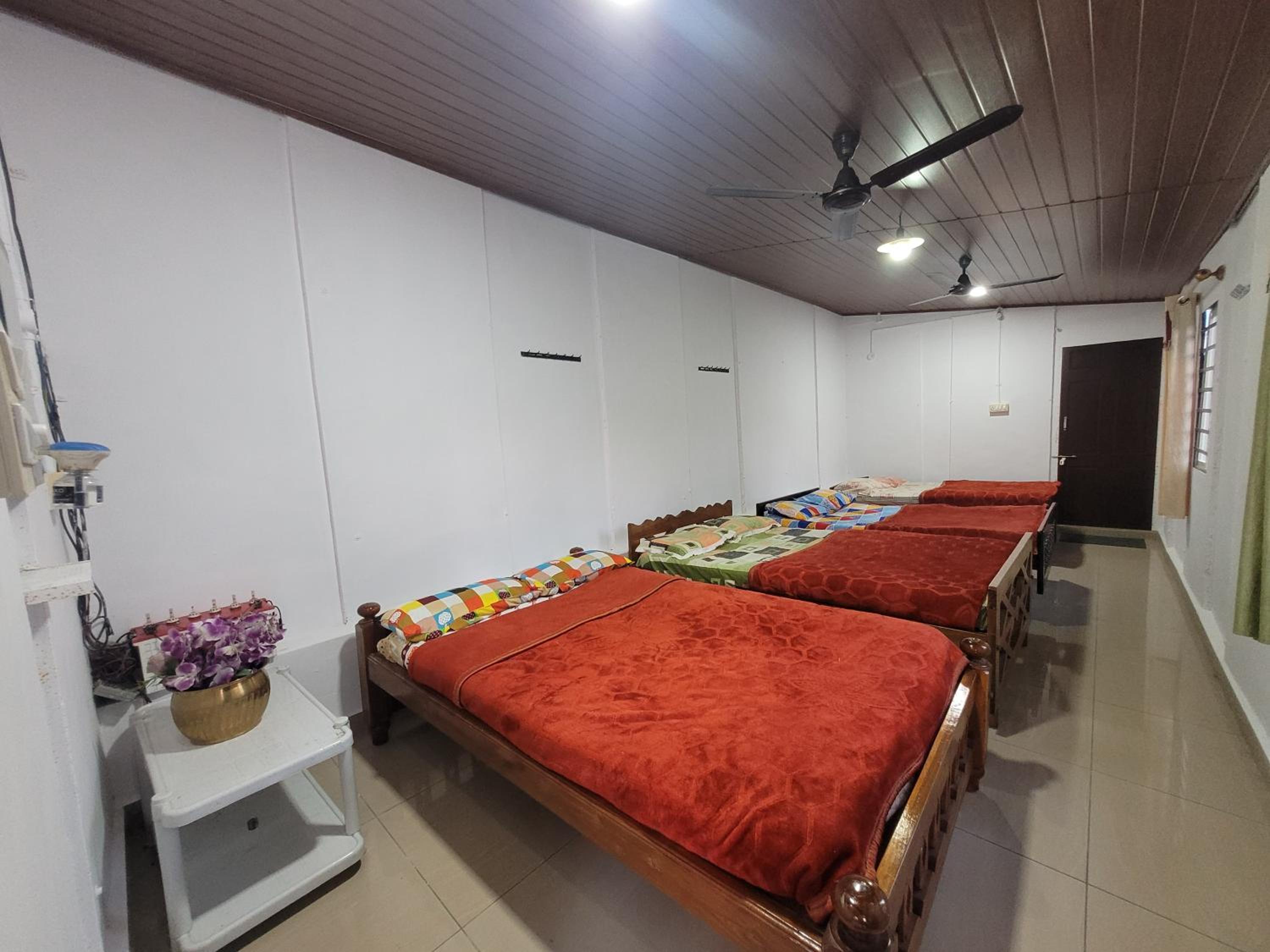 8-Bed Mixed Dormitory Room photo 1