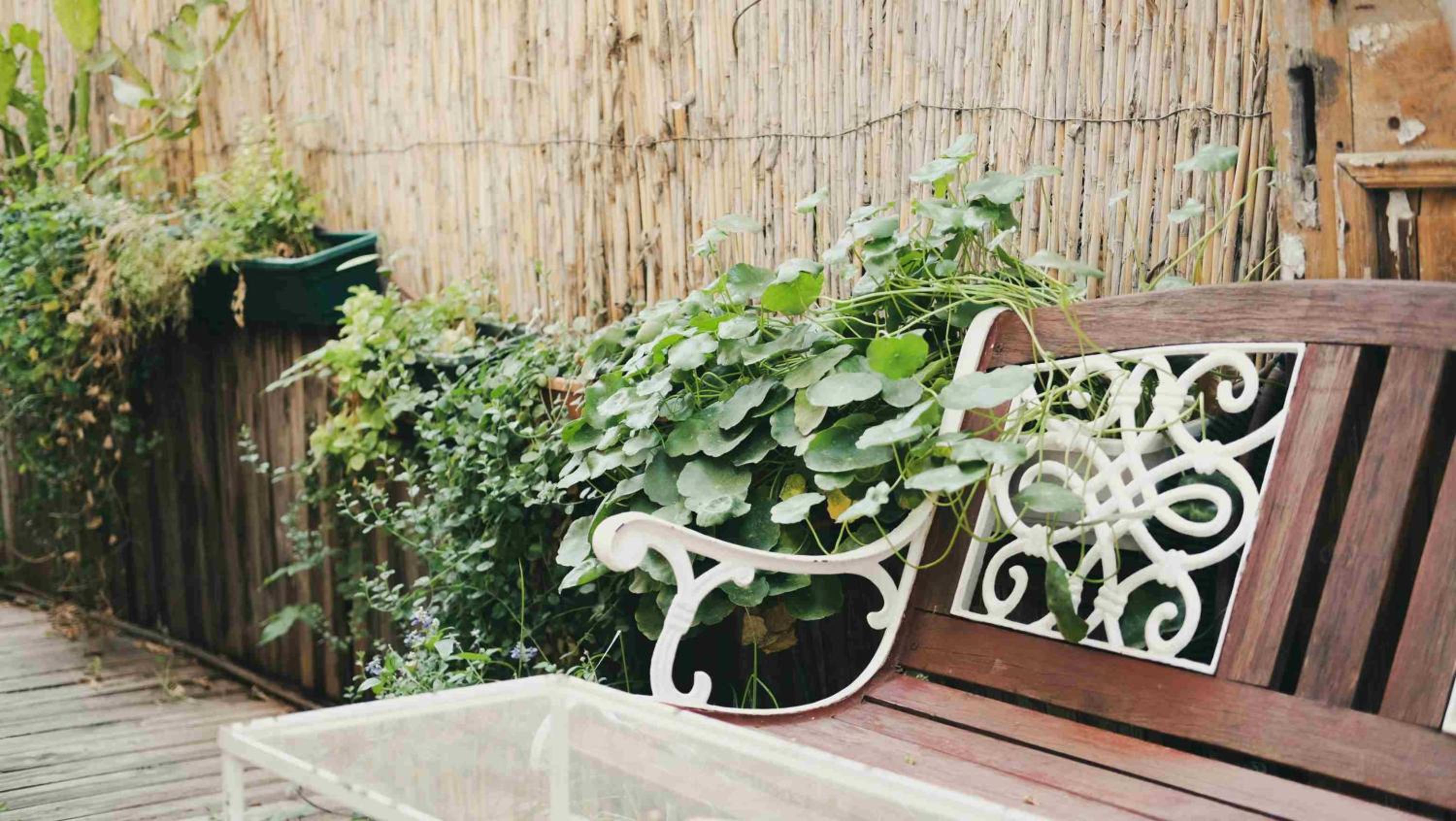 Triple Room with Garden