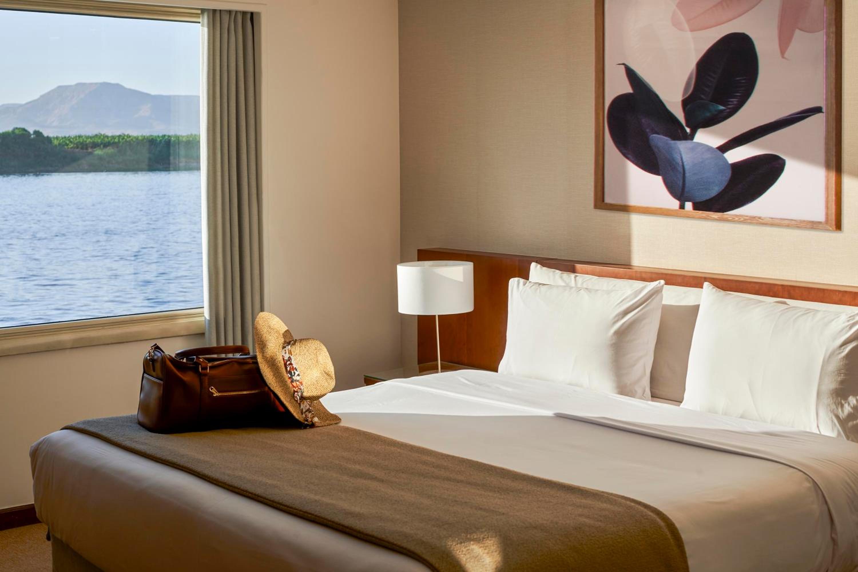 Deluxe King Suite