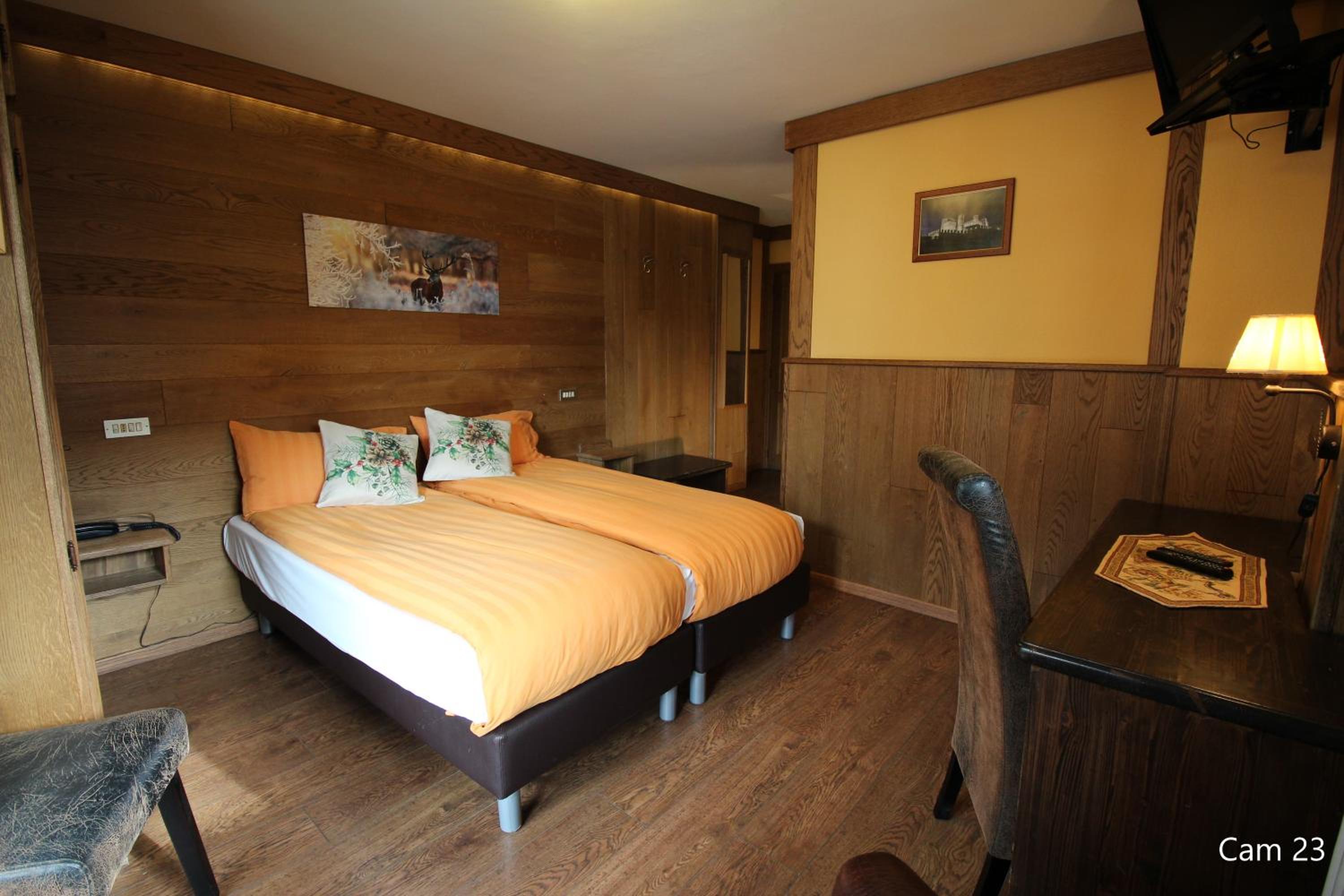 Double or Twin Room photo 2