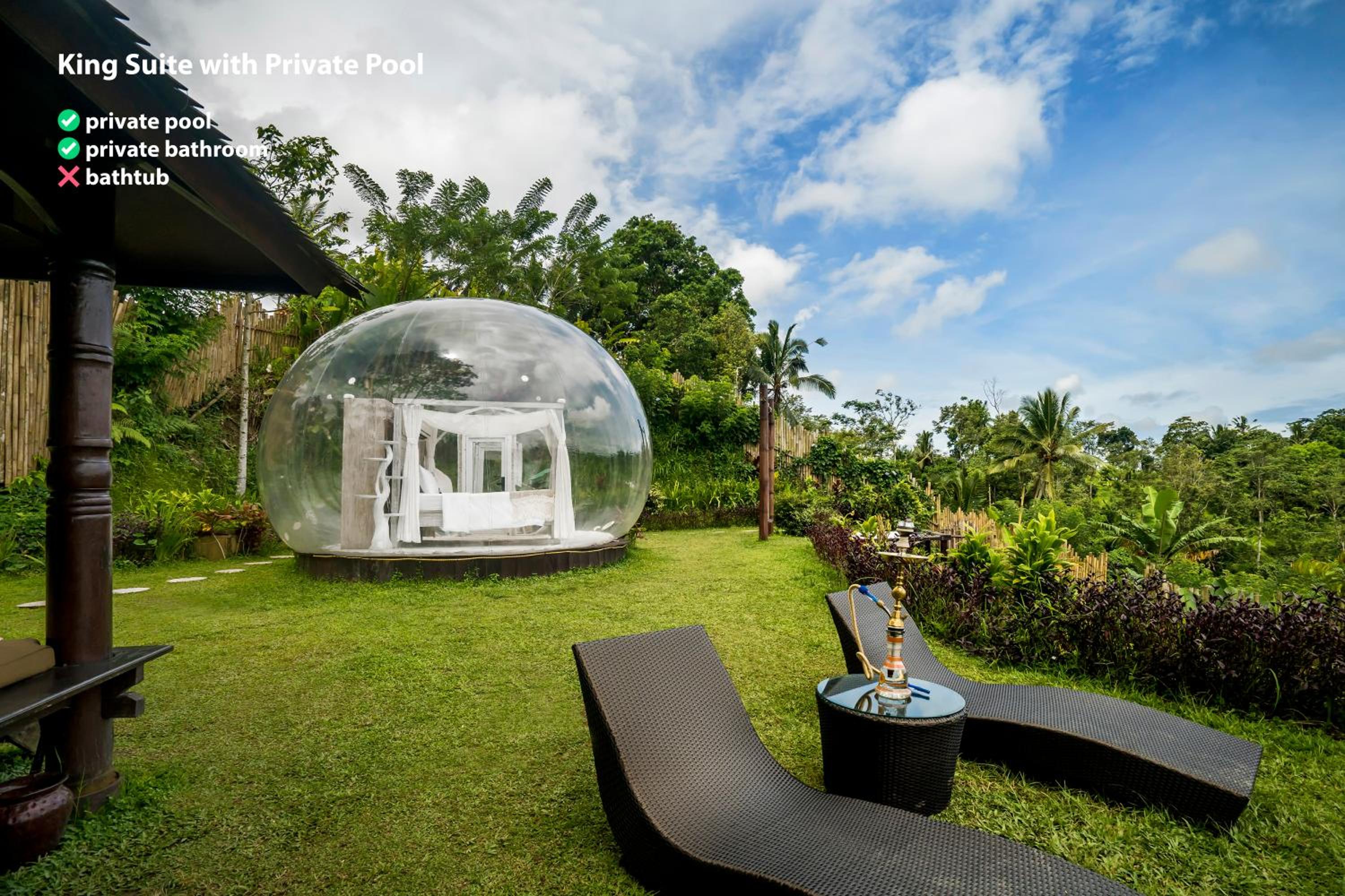 Queen Suite with Private Pool