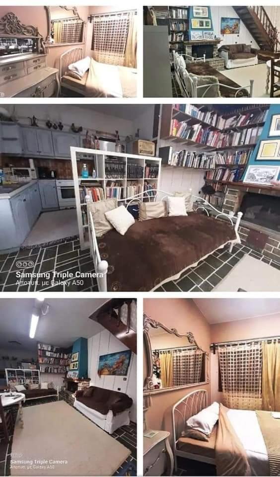 Family Studio photo 1