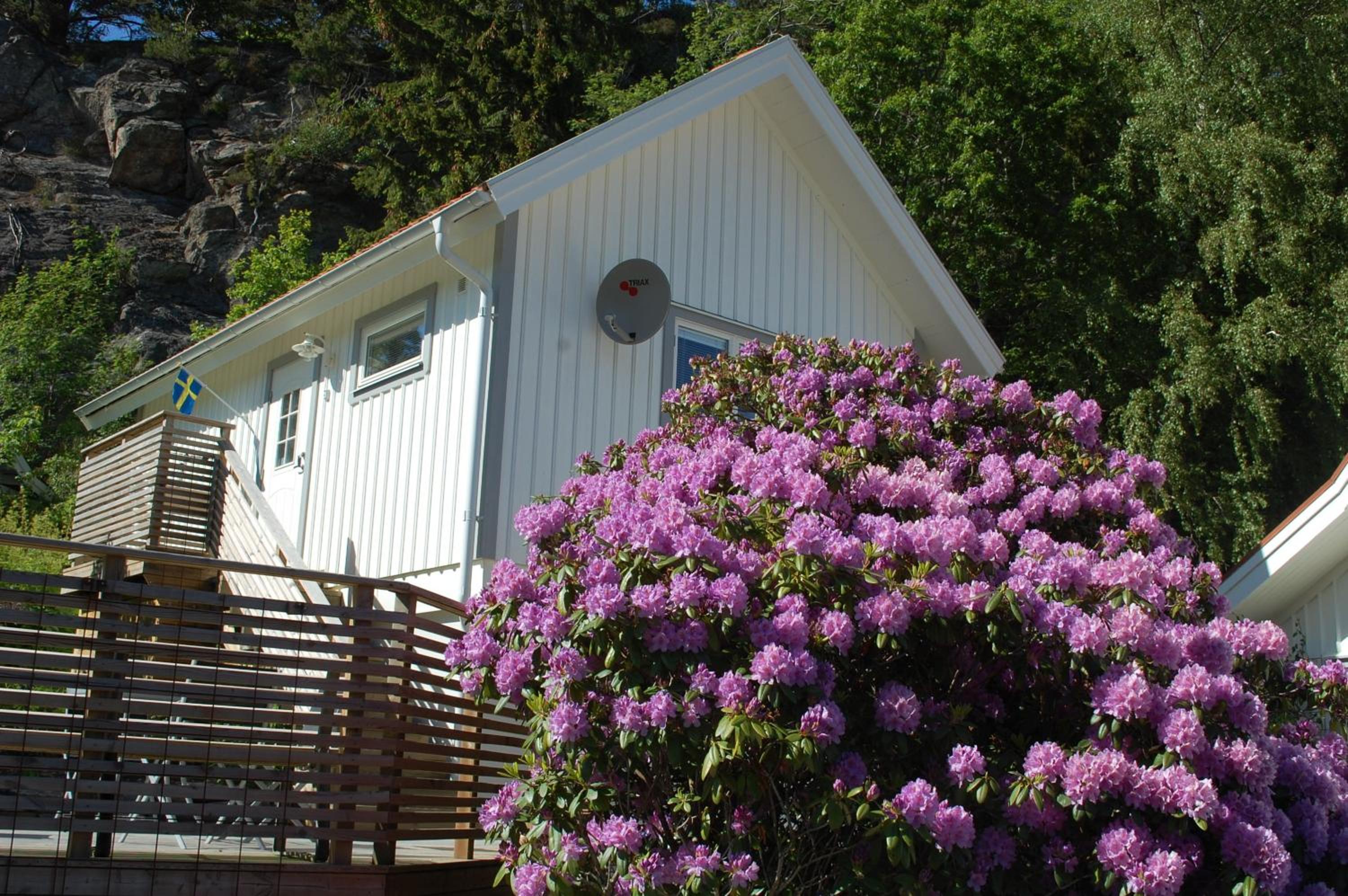 One-Bedroom House - Photo 1