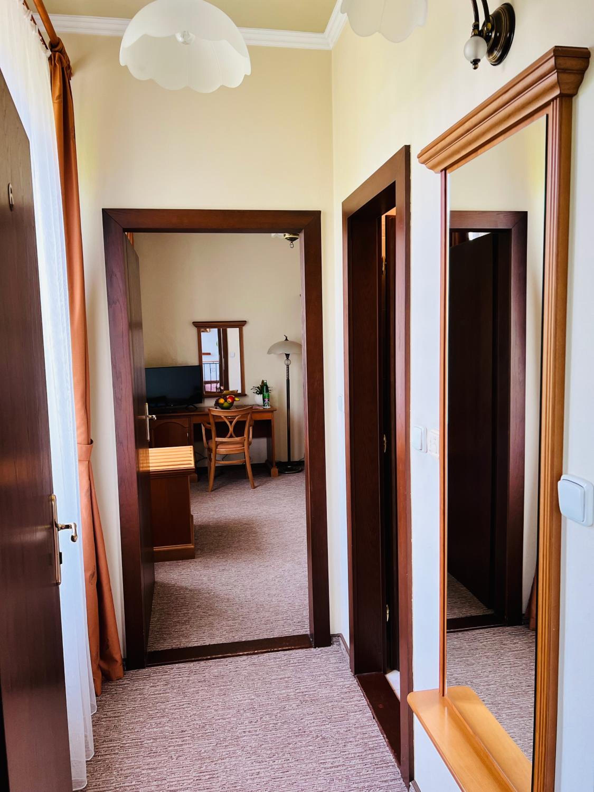 Deluxe Single Room photo 2