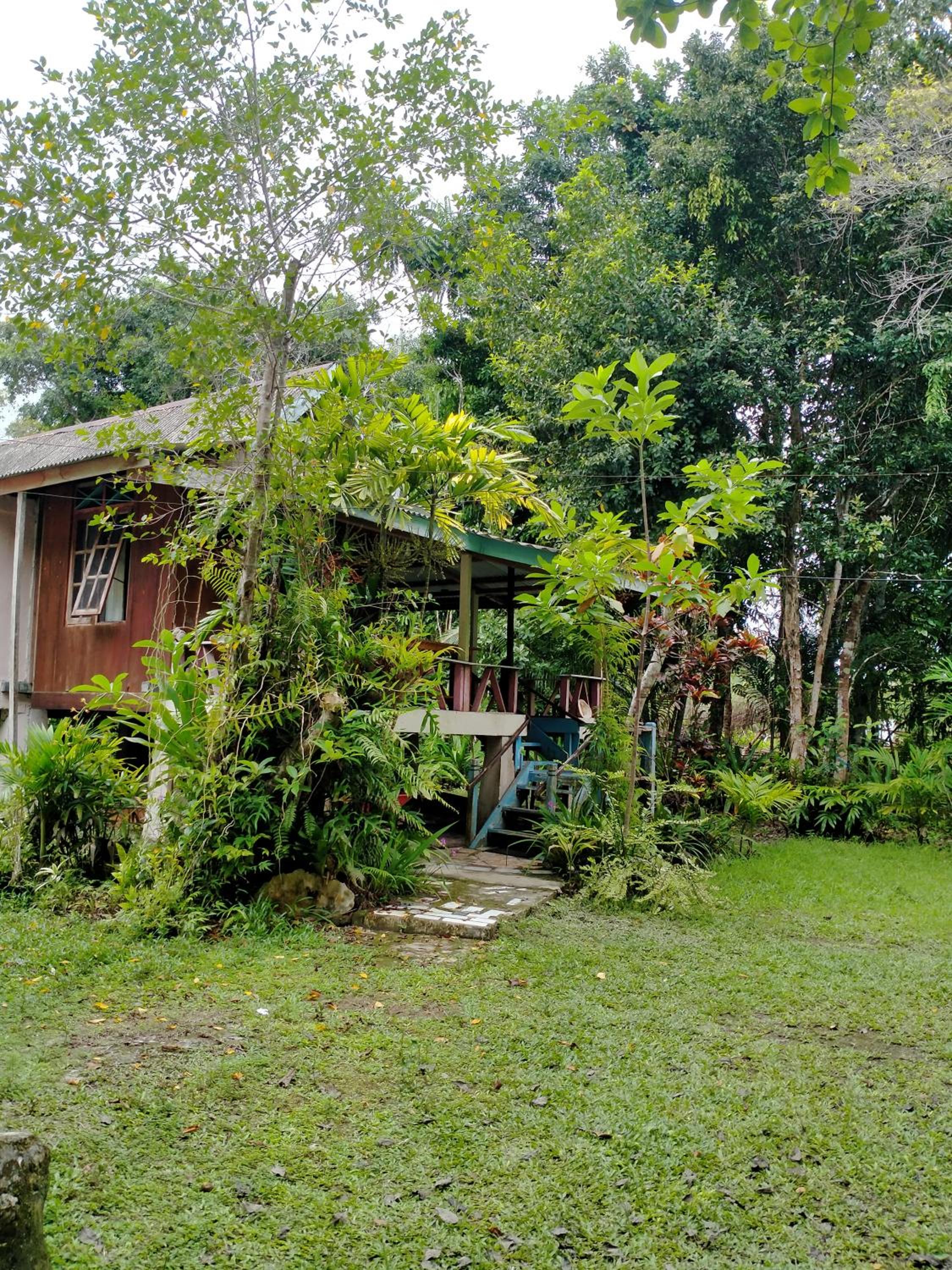 Double Room with Garden View photo 2