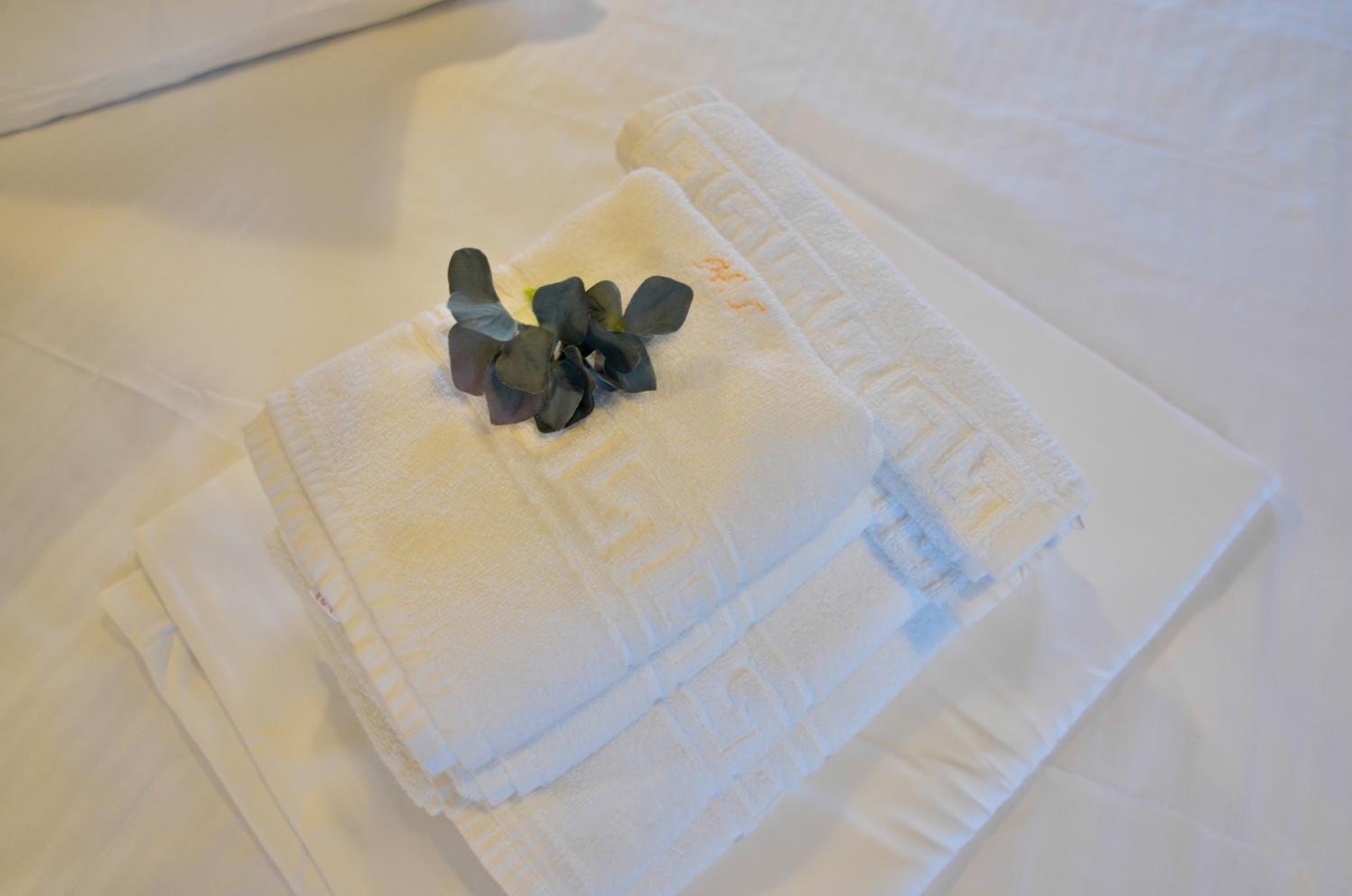 Double Room with Balcony photo 2