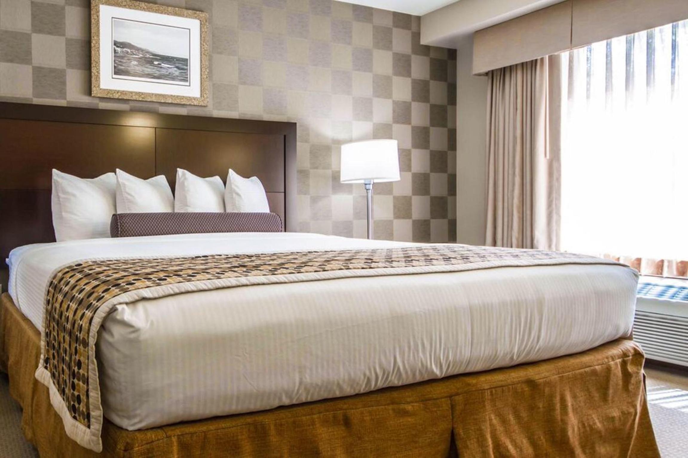 Mini Suite - Disability Access photo 1
