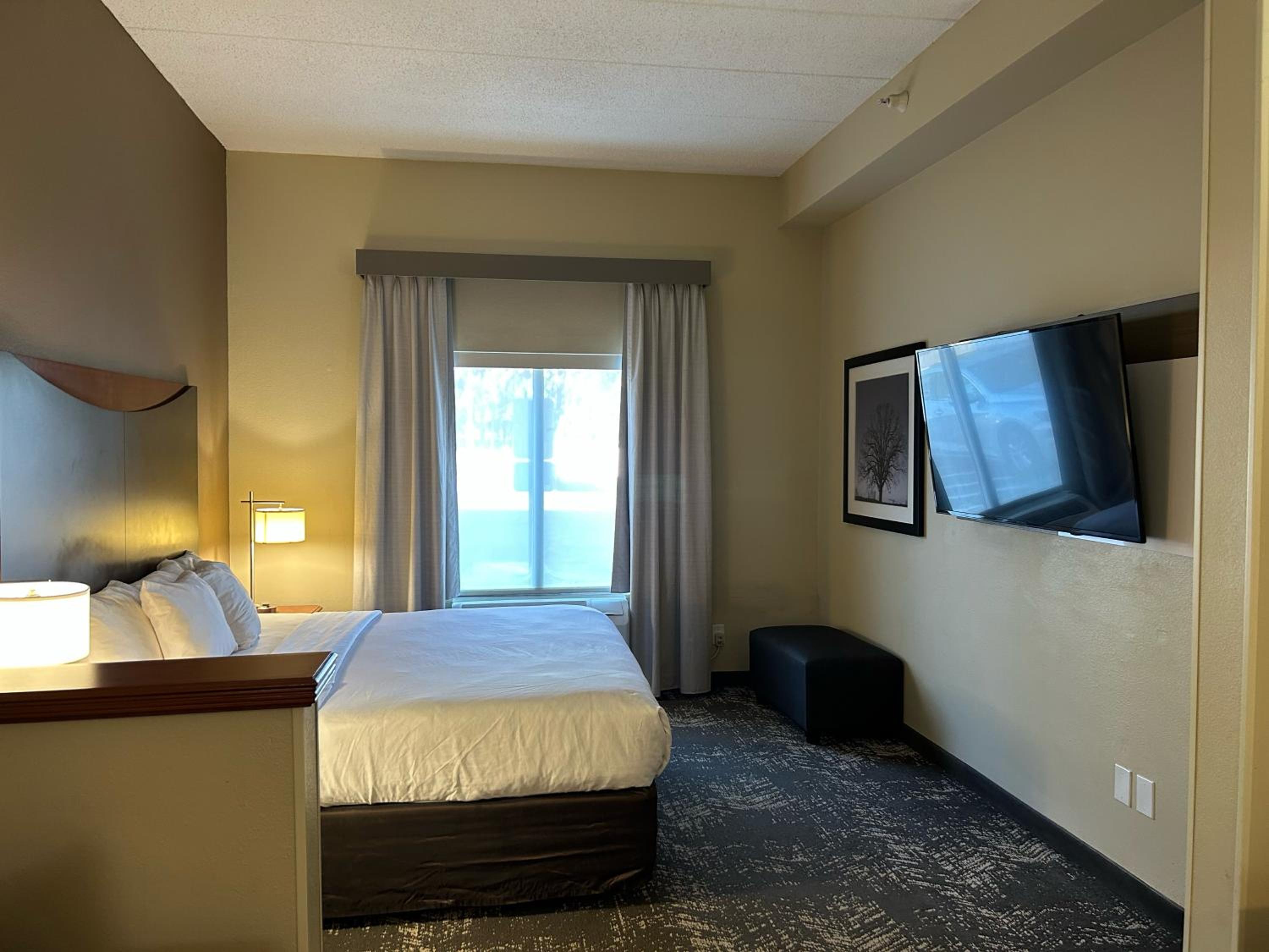 King Suite - Non-Smoking - Photo 6