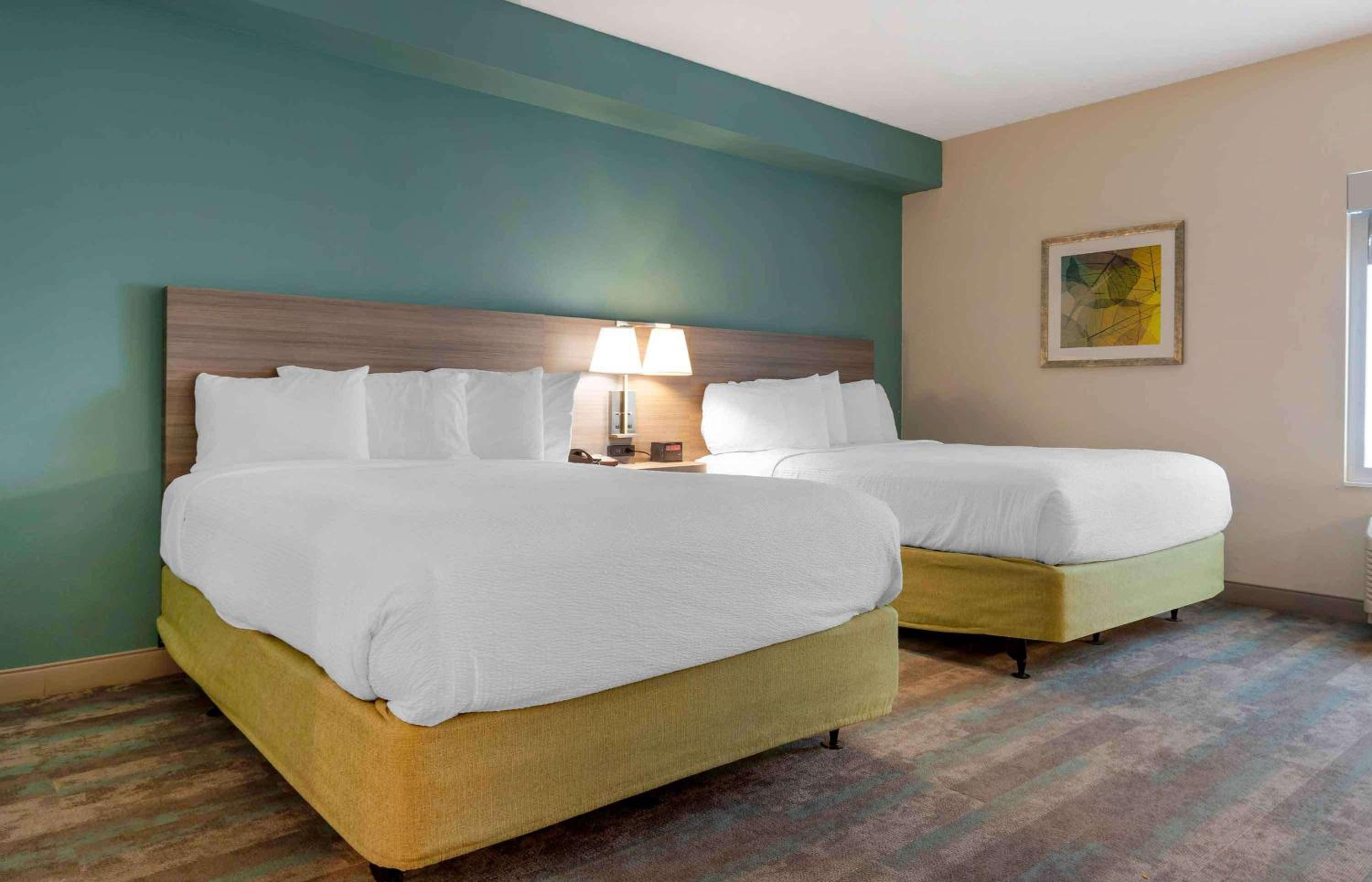 Studio with 2 Queen Beds - Non-Smoking photo 2