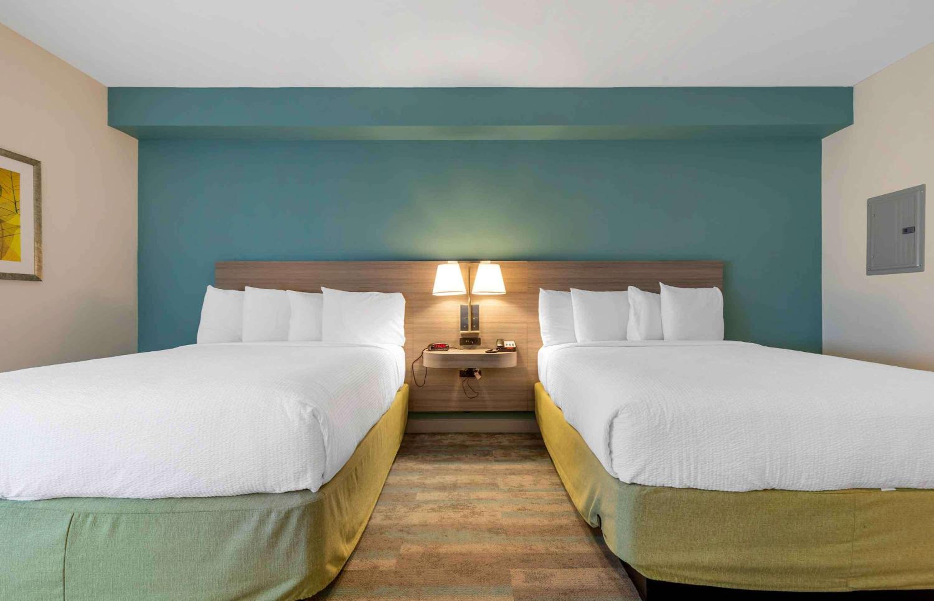 Superior Studio with 2 Queen beds - Non-Smoking photo 3