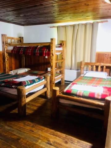 Bed in 5-Bed Dormitory Room photo 2