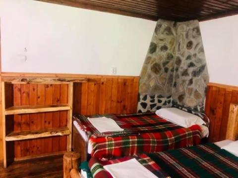 Bed in 5-Bed Dormitory Room photo 3