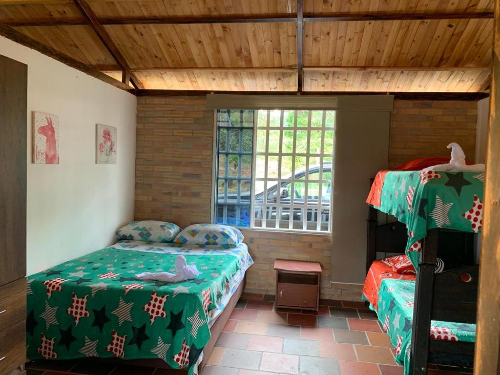 One-Bedroom House photo 1