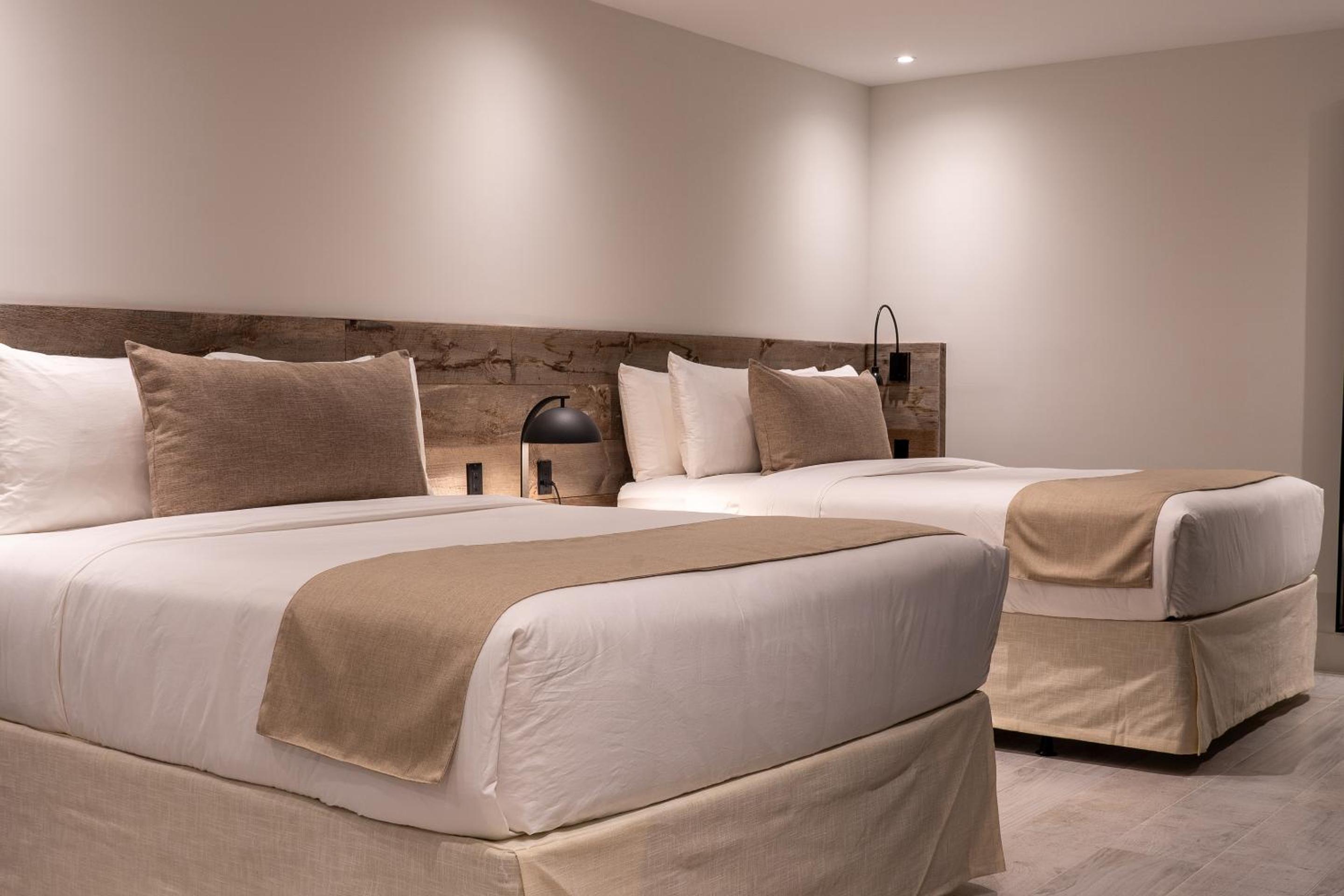 Deluxe Queen Suite - Photo 2