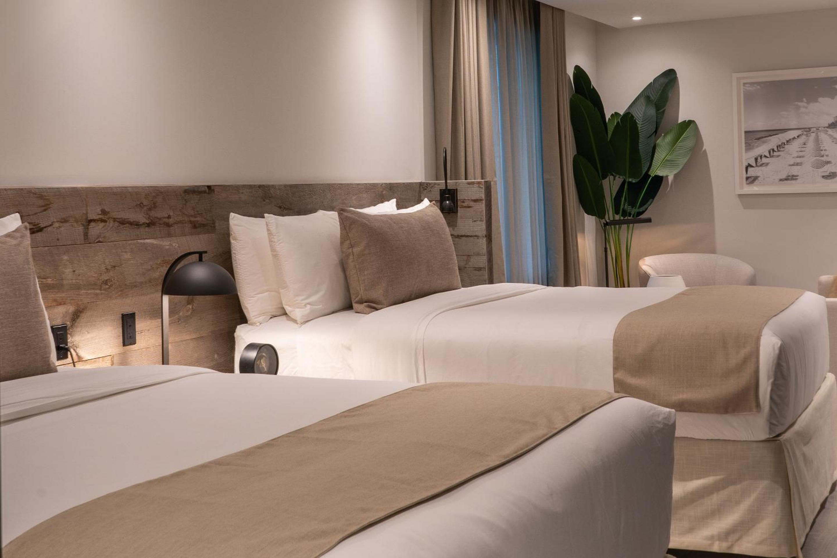 Deluxe Queen Suite - Photo 1