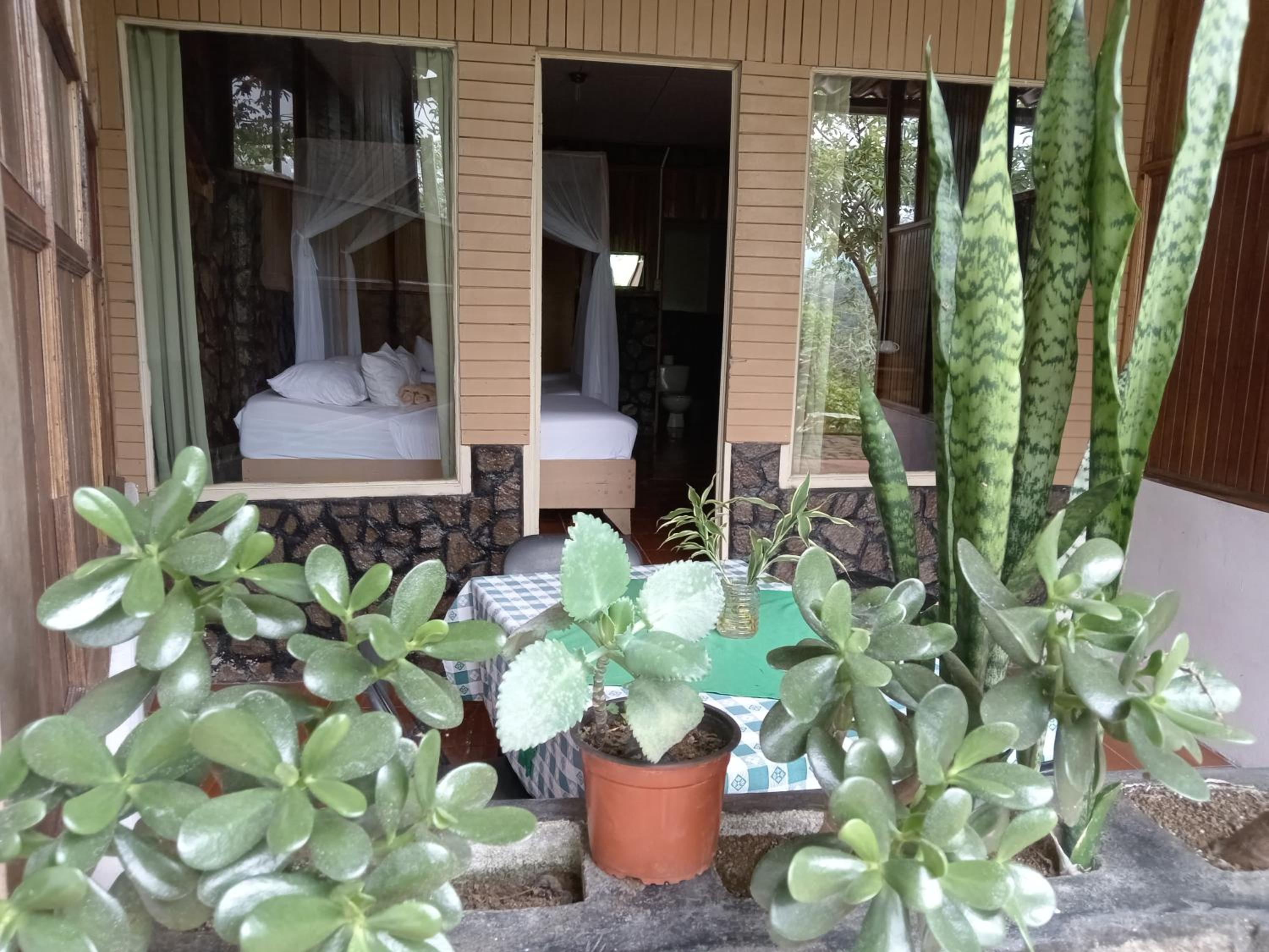 Standard Twin Room With Mountain View photo 1
