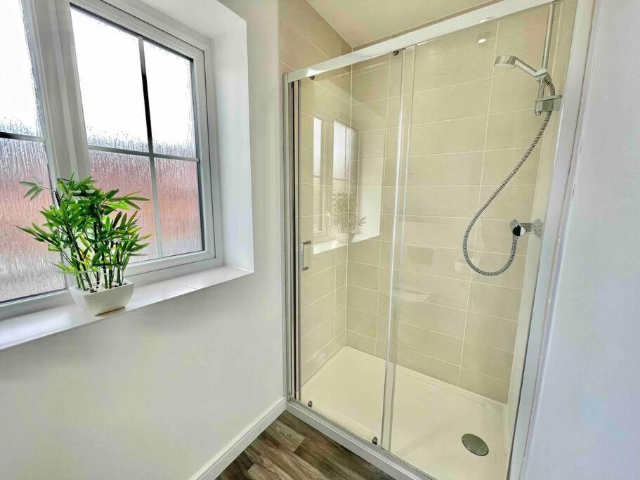 Three-Bedroom House photo 2