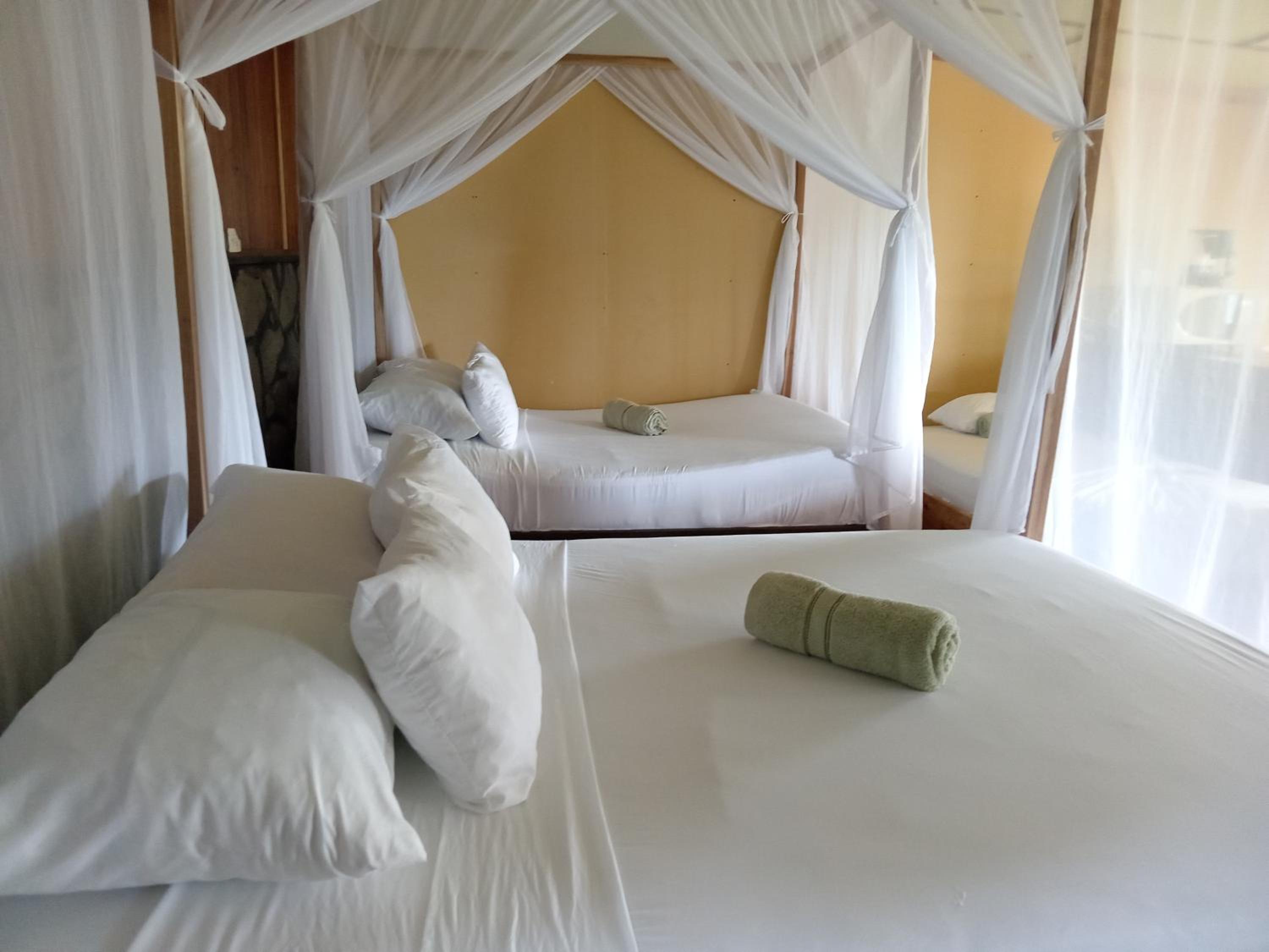 Standard Twin Room With Mountain View photo 3