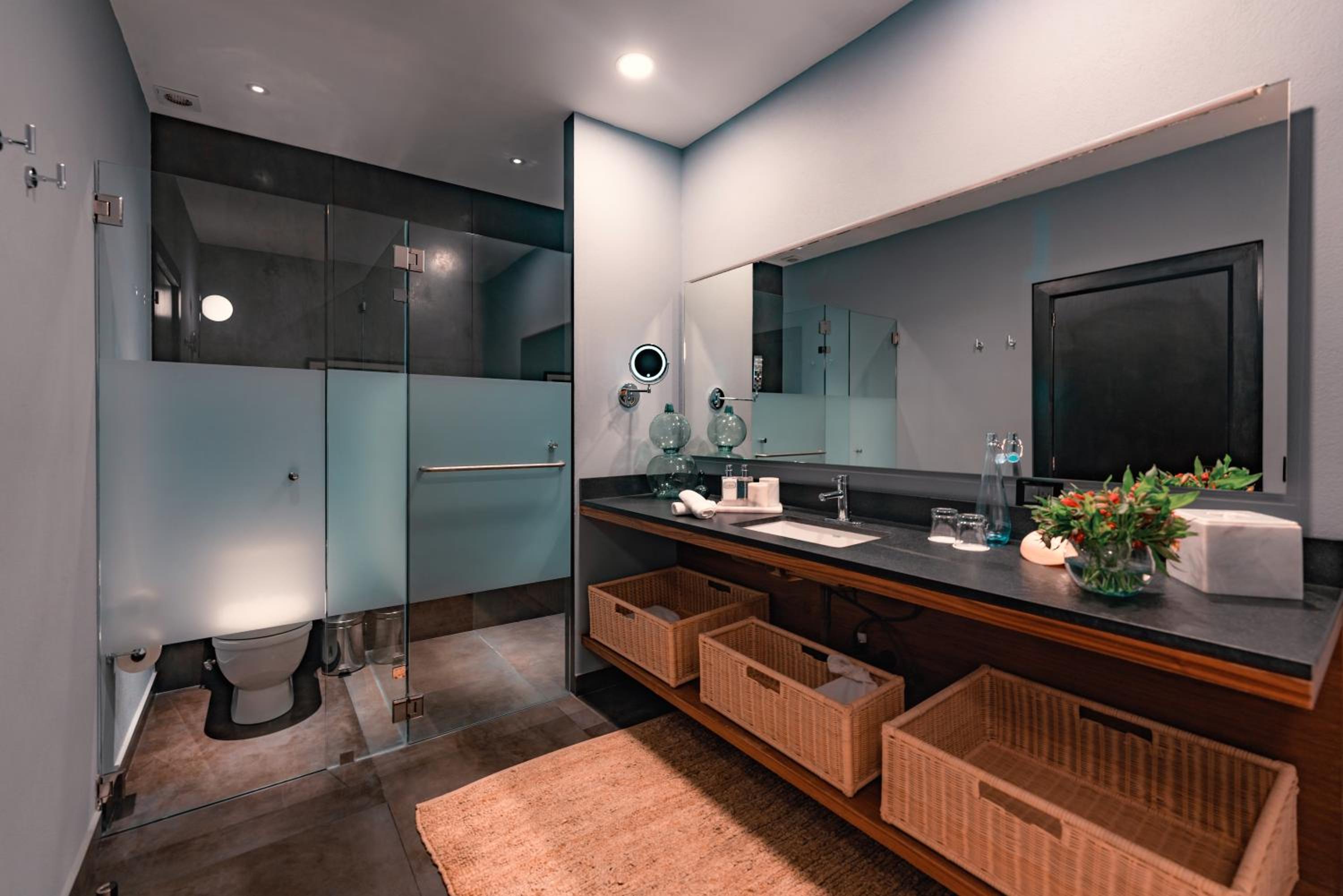 Superior Suite - Photo 8