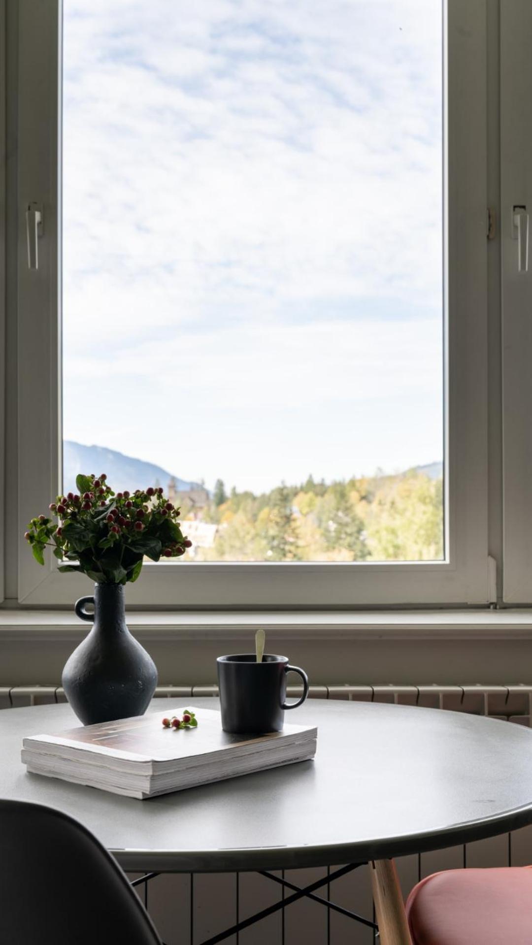 Studio with Mountain View photo 3