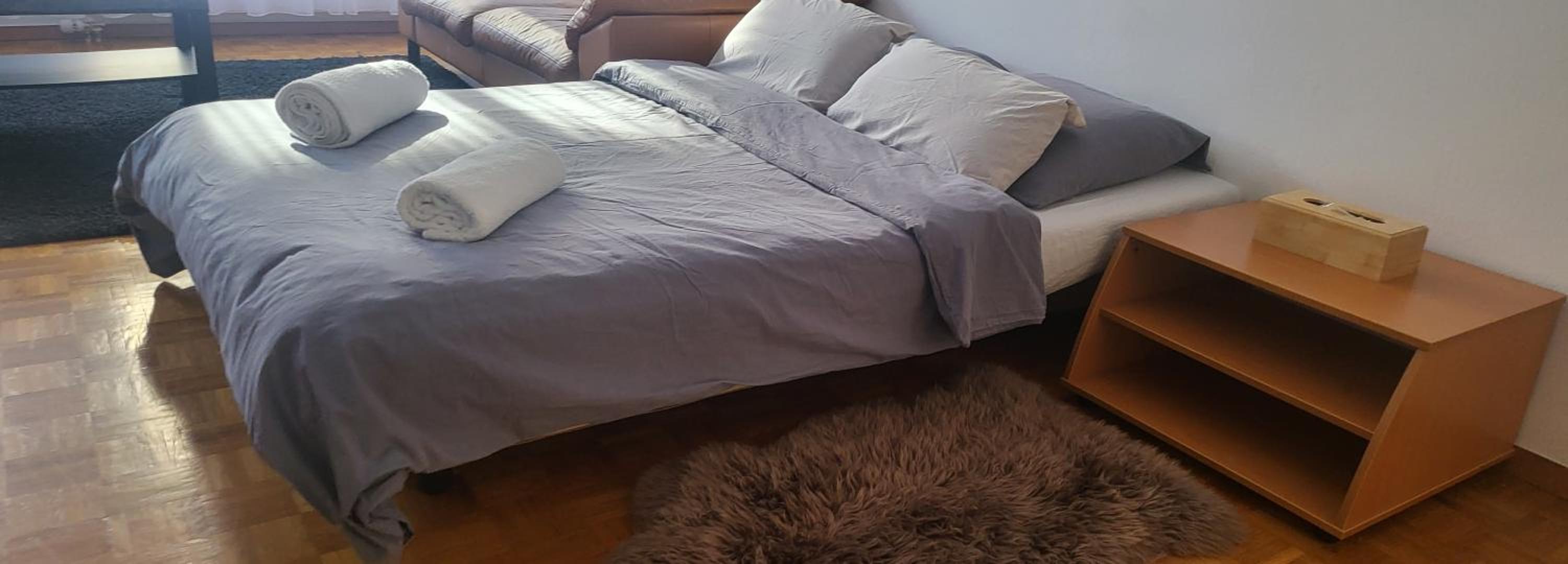 One-Bedroom Apartment photo 3
