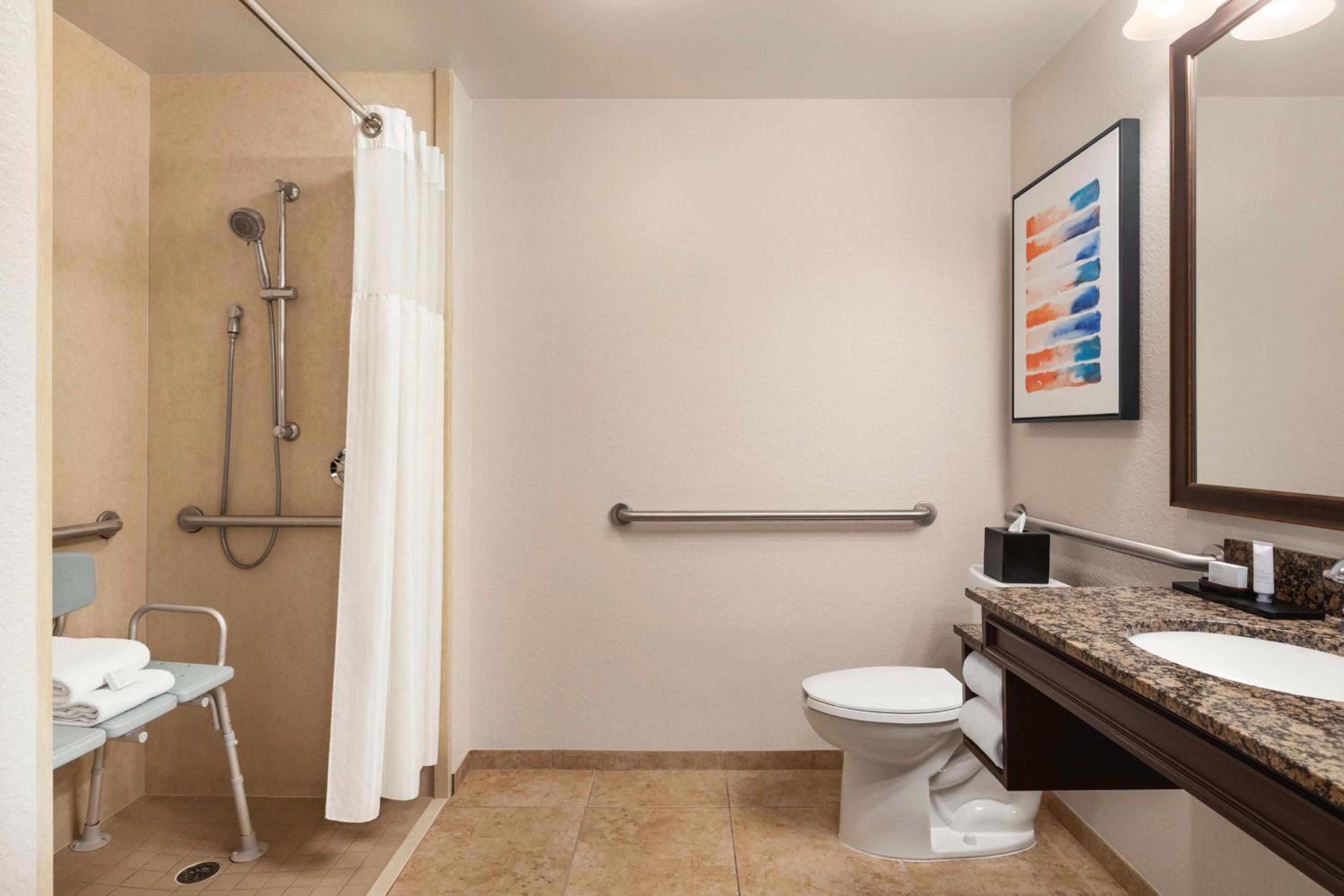 Deluxe One-Bedroom King Suite - Hearing Accessible/Non-Smoking - Photo 8