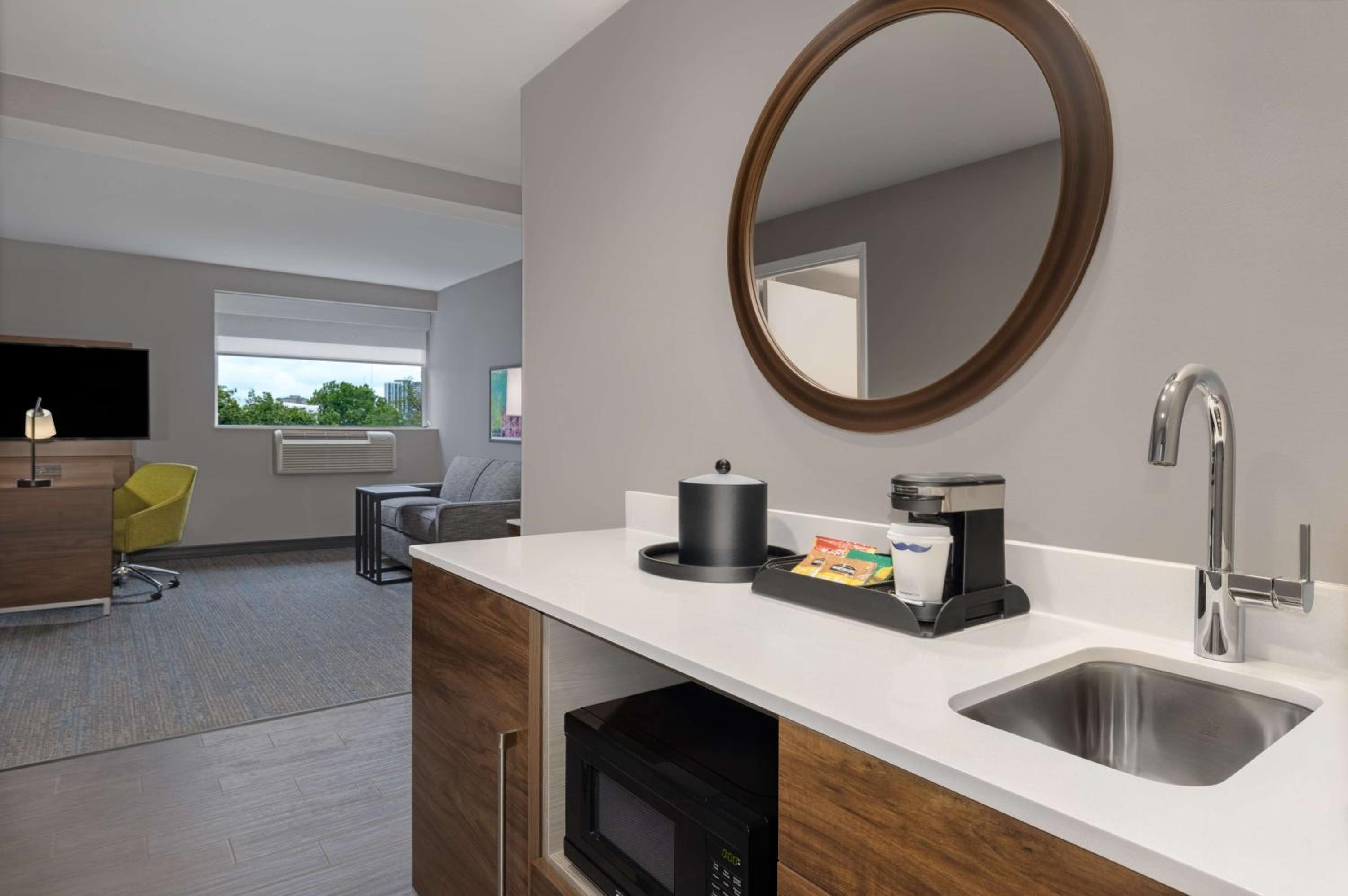 King Studio Suite with Park View