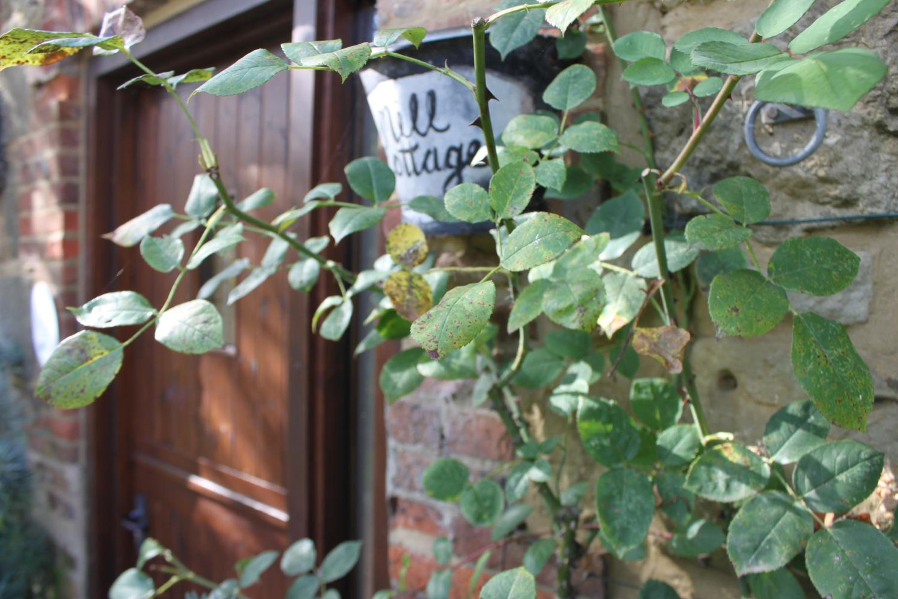 Three-Bedroom House - Mill Cottage - Photo 12