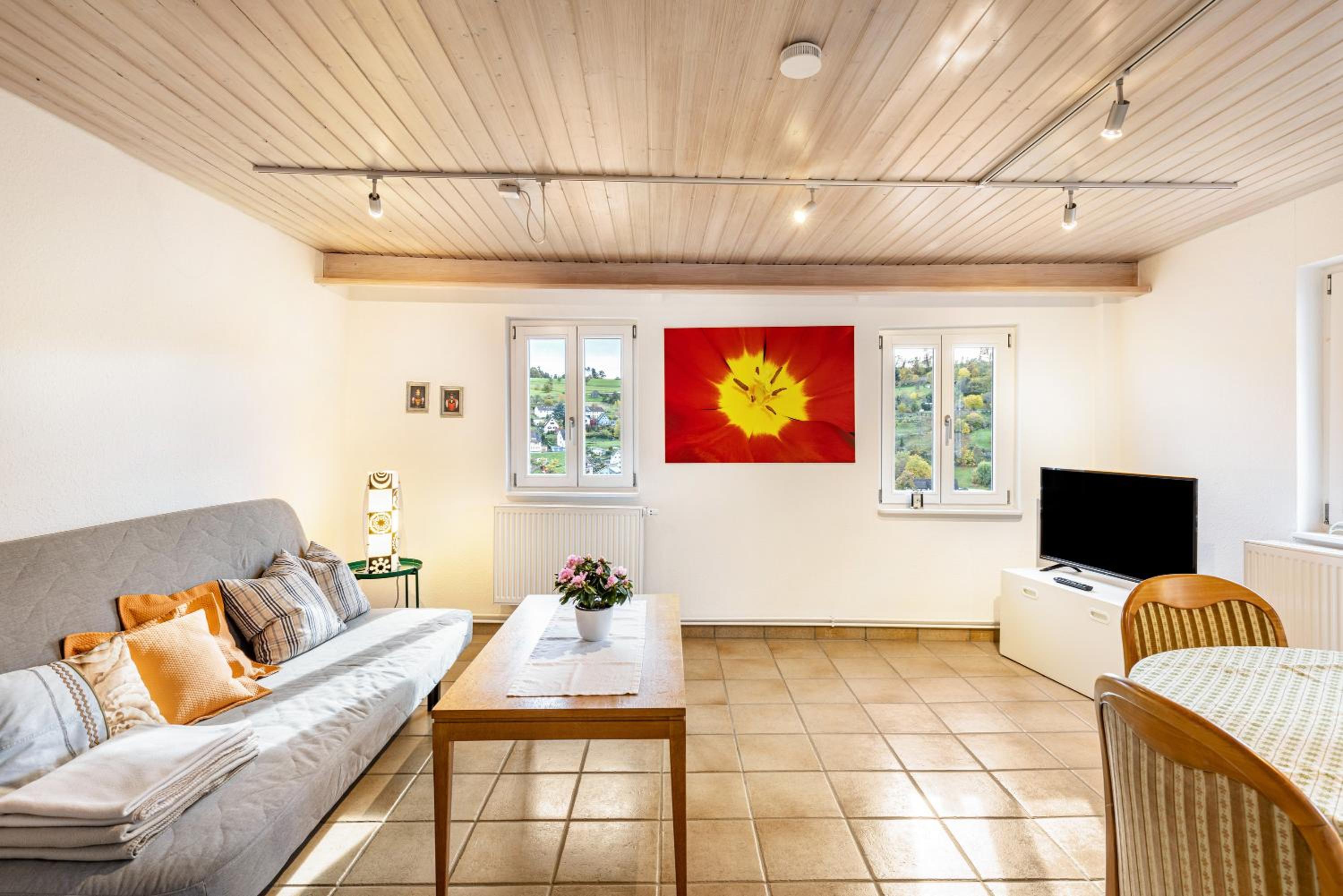 Superior Apartment with City View