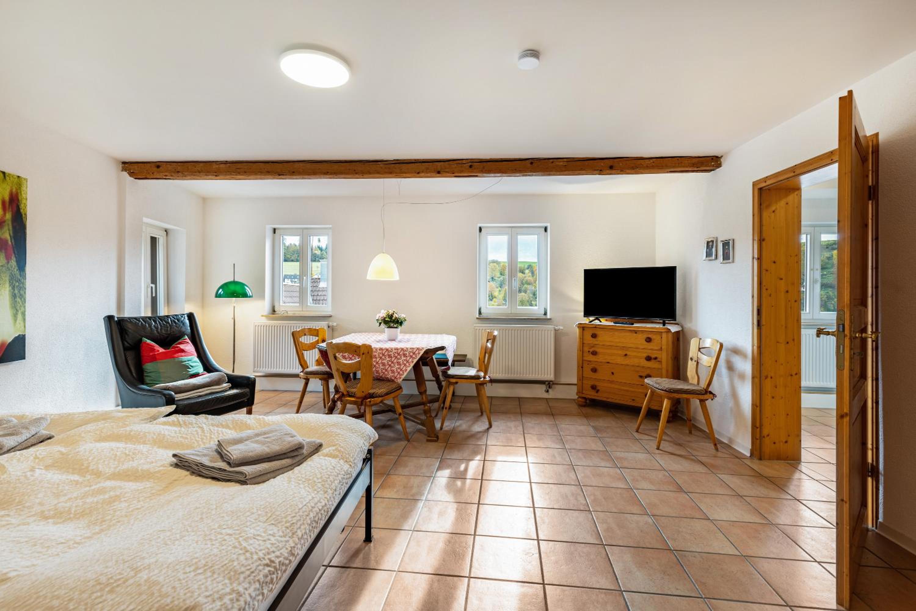 Superior Apartment with City View