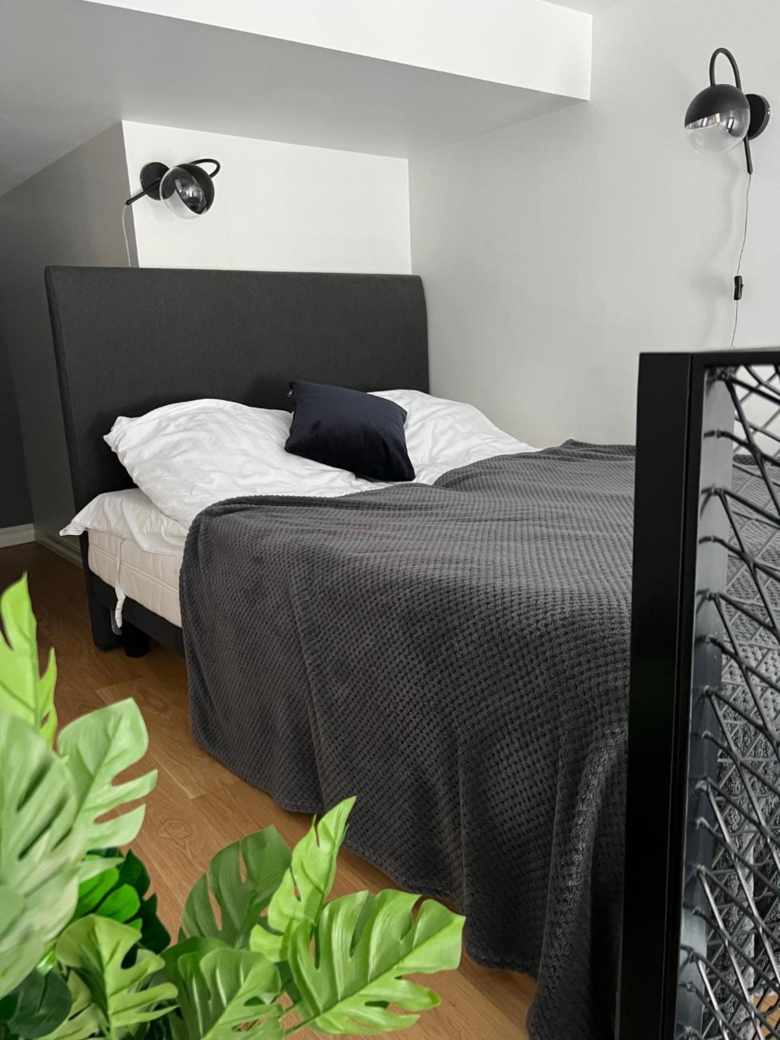 Loft - Photo 2