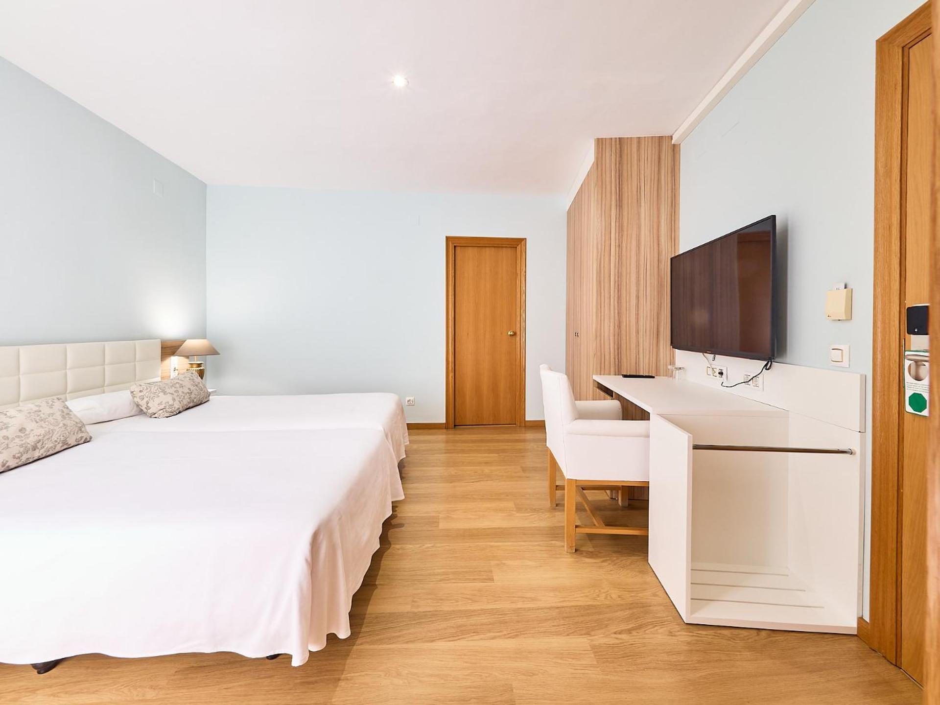 Large Twin Room photo 2