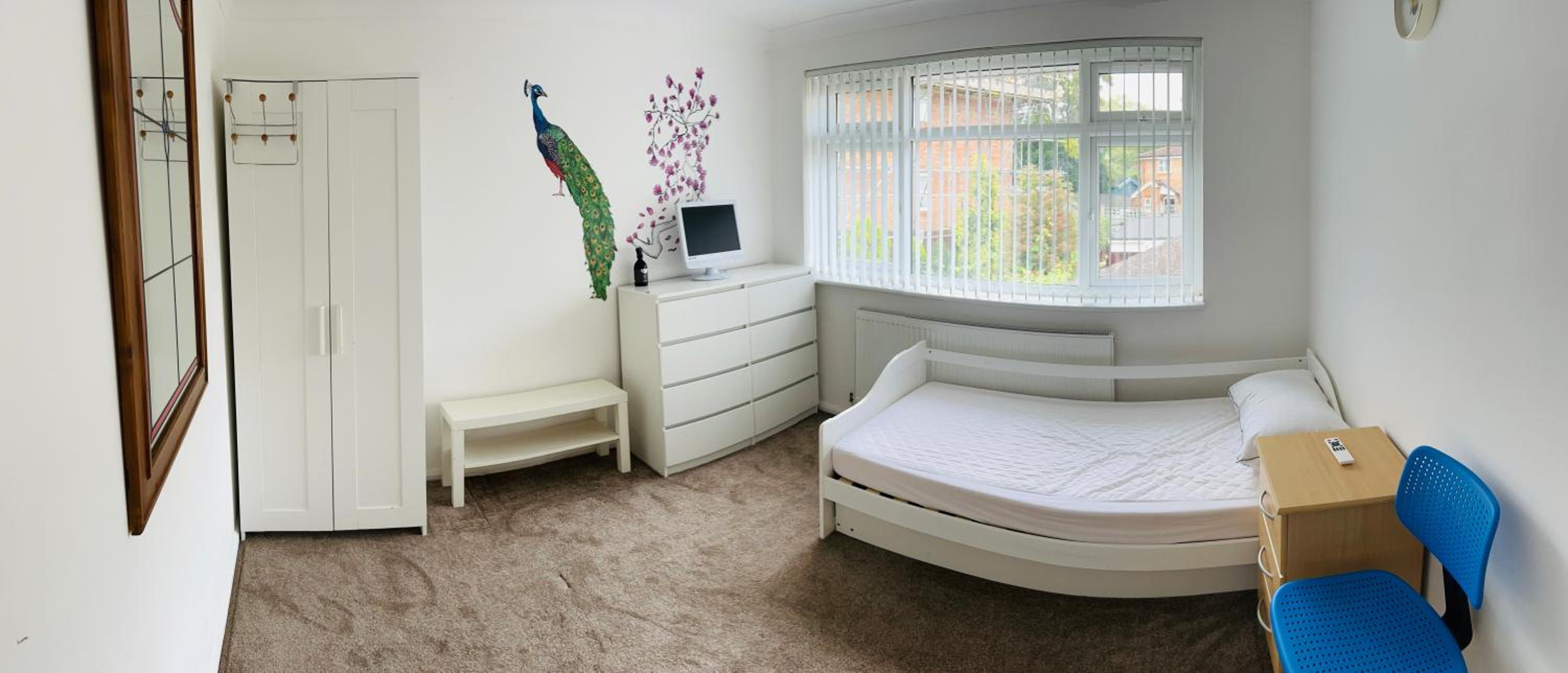 Large Single Room photo 1