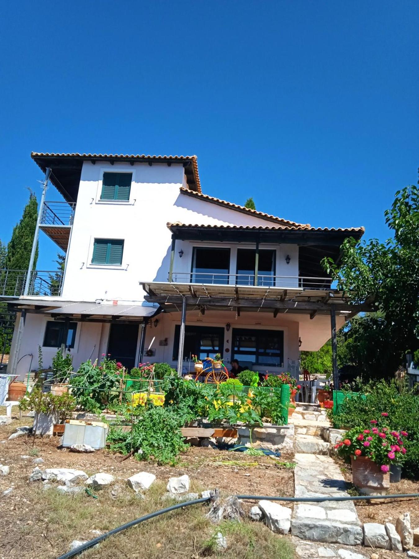 Three-Bedroom House photo 2