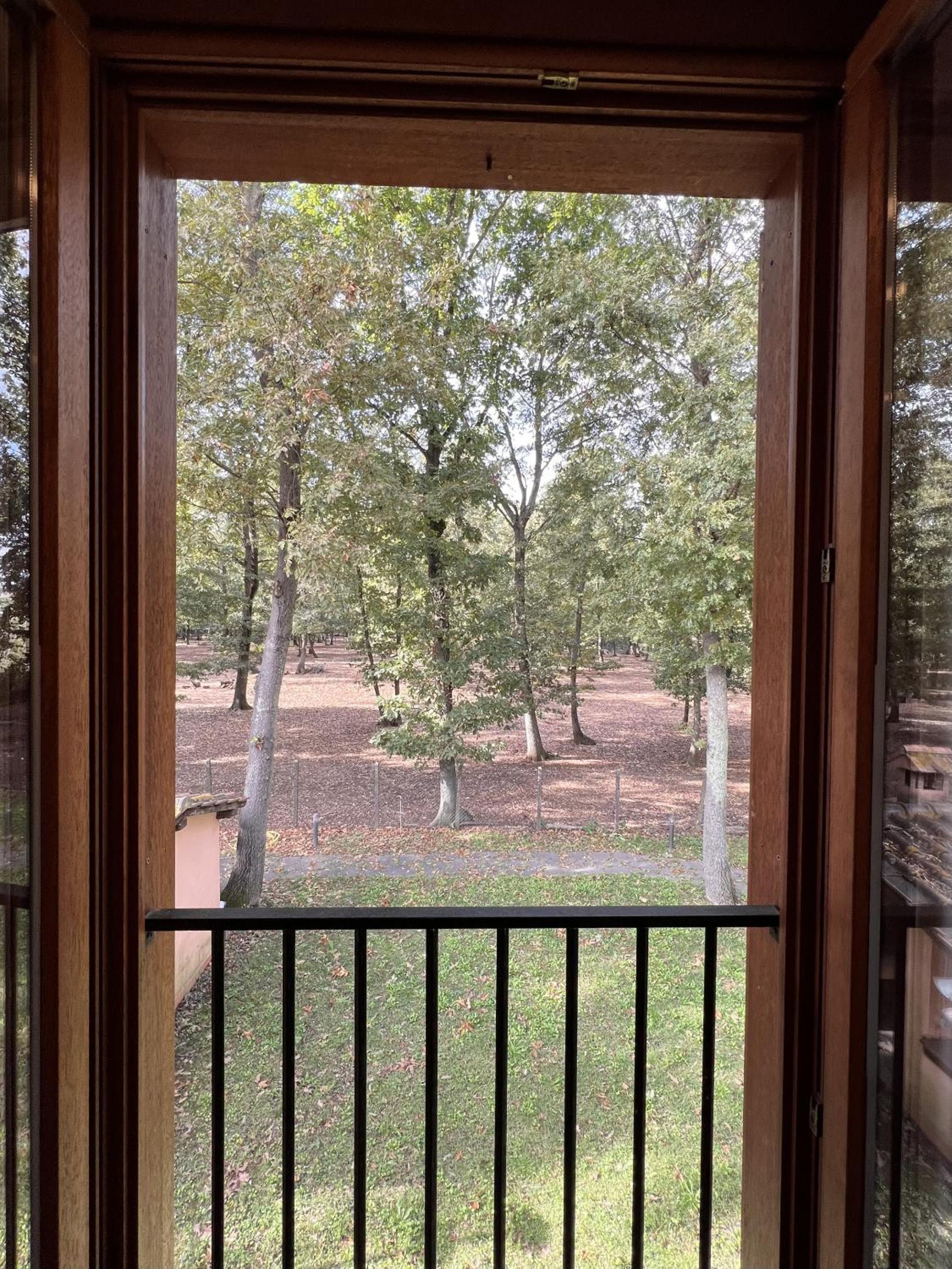 Superior Suite photo 2