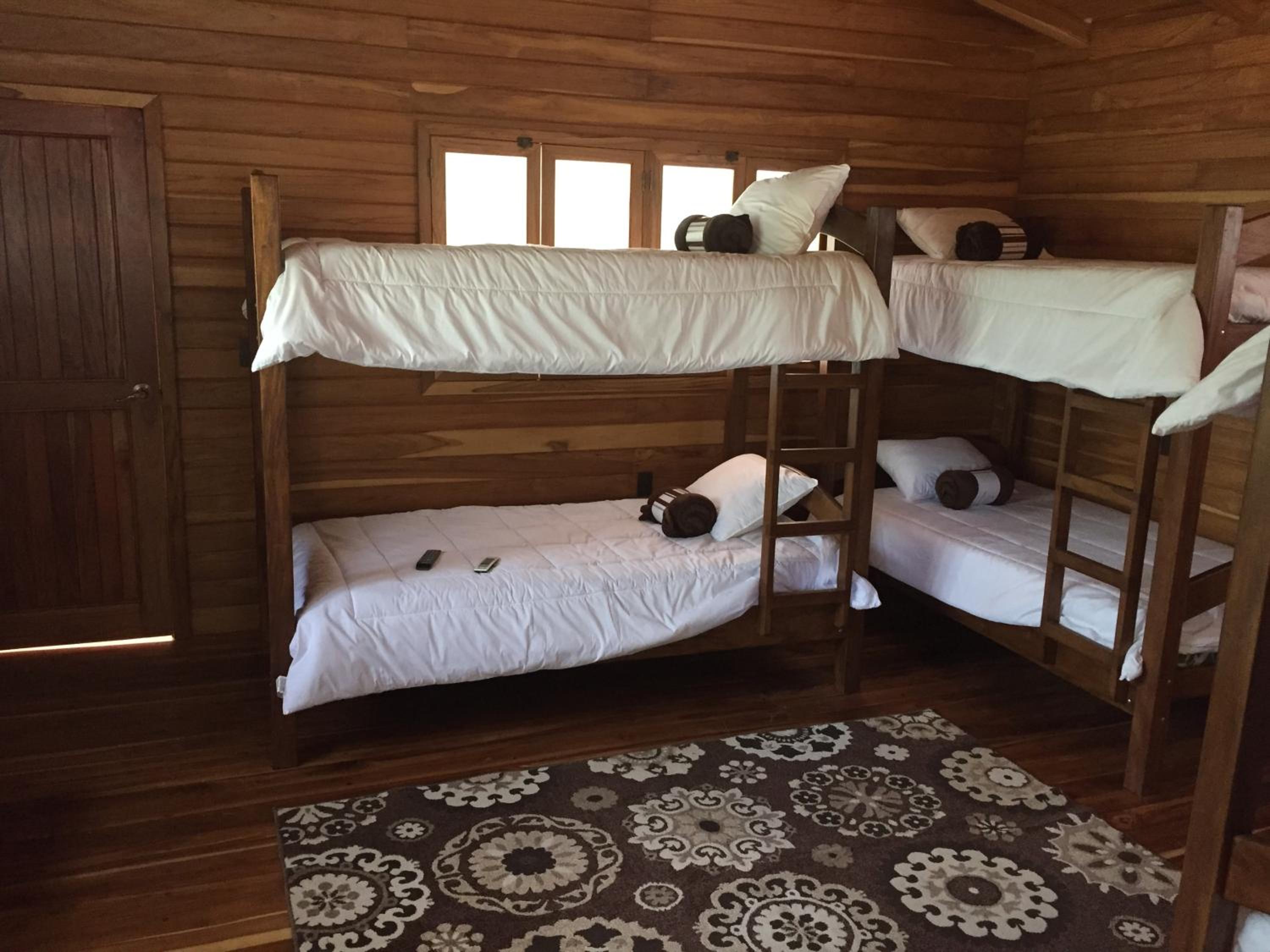 Single Bed in Mixed Dormitory Room photo 1