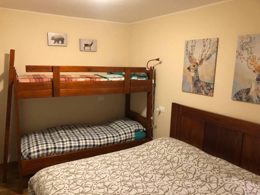 One-Bedroom House photo 3