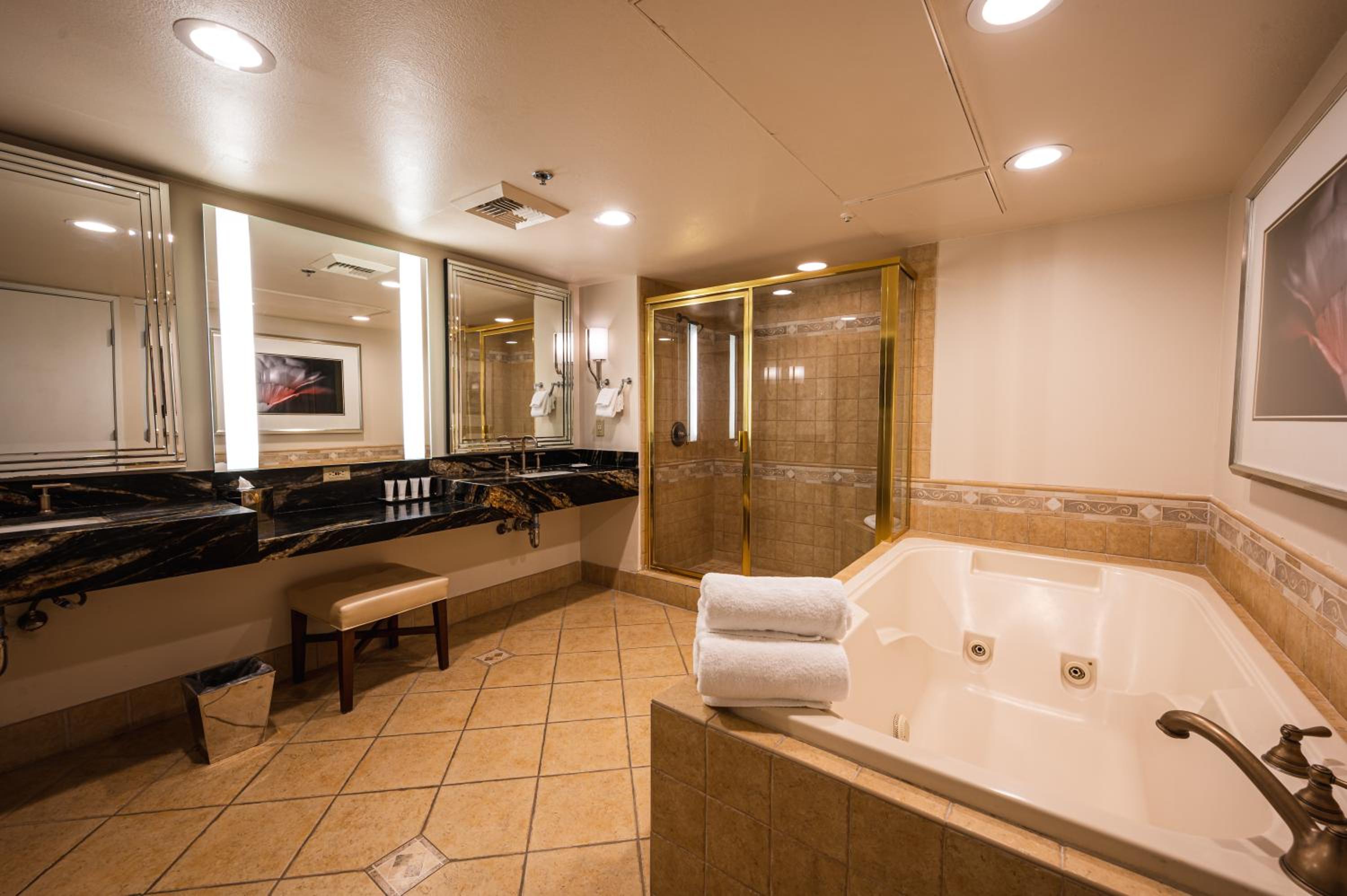 Suite - 1 King Bed photo 2