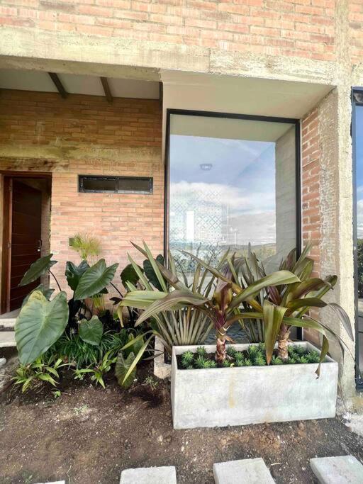 One-Bedroom House photo 2
