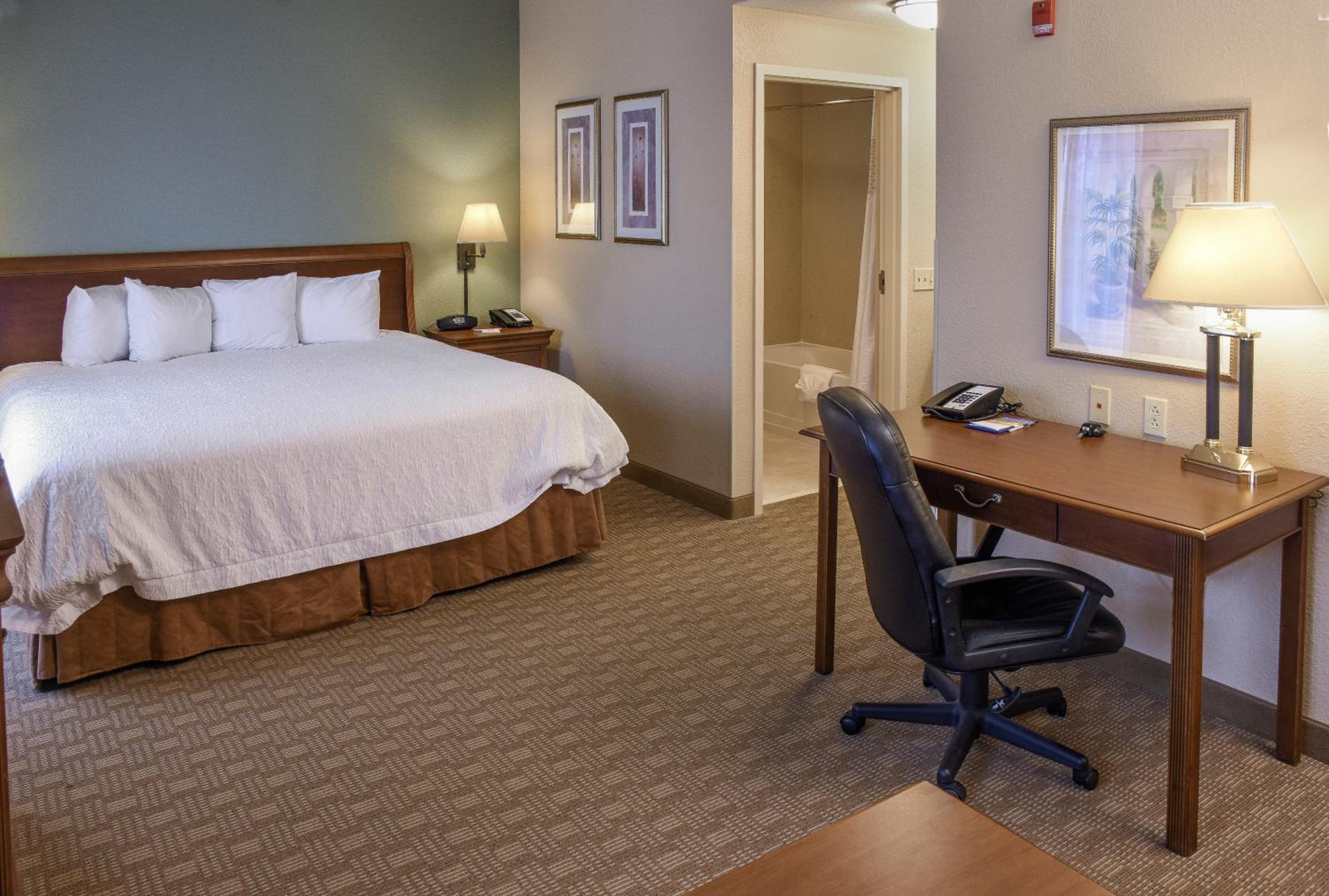 King Studio Suite with Sofa Bed - Non-Smoking - Photo 5