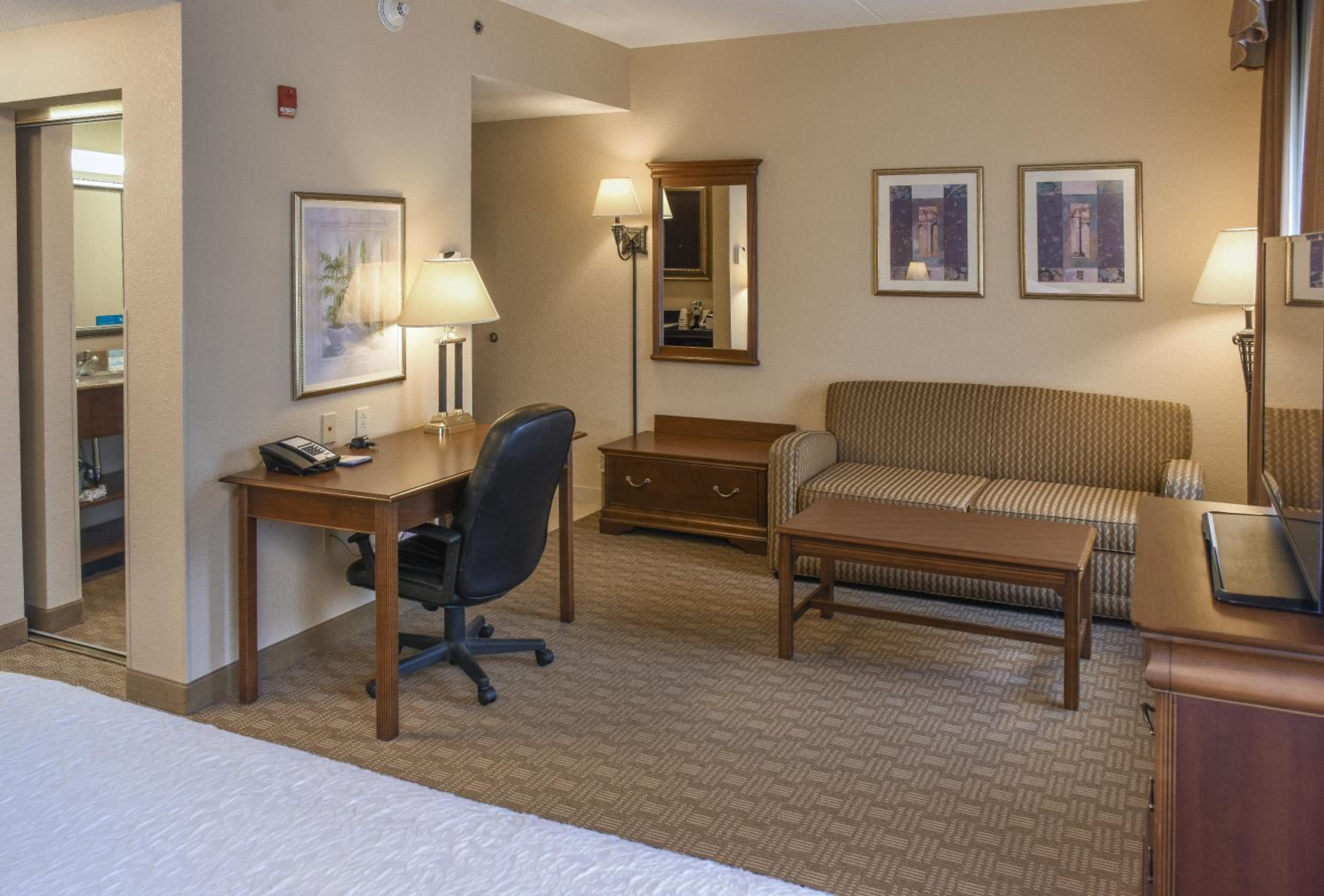 King Studio Suite with Sofa Bed - Non-Smoking - Photo 3