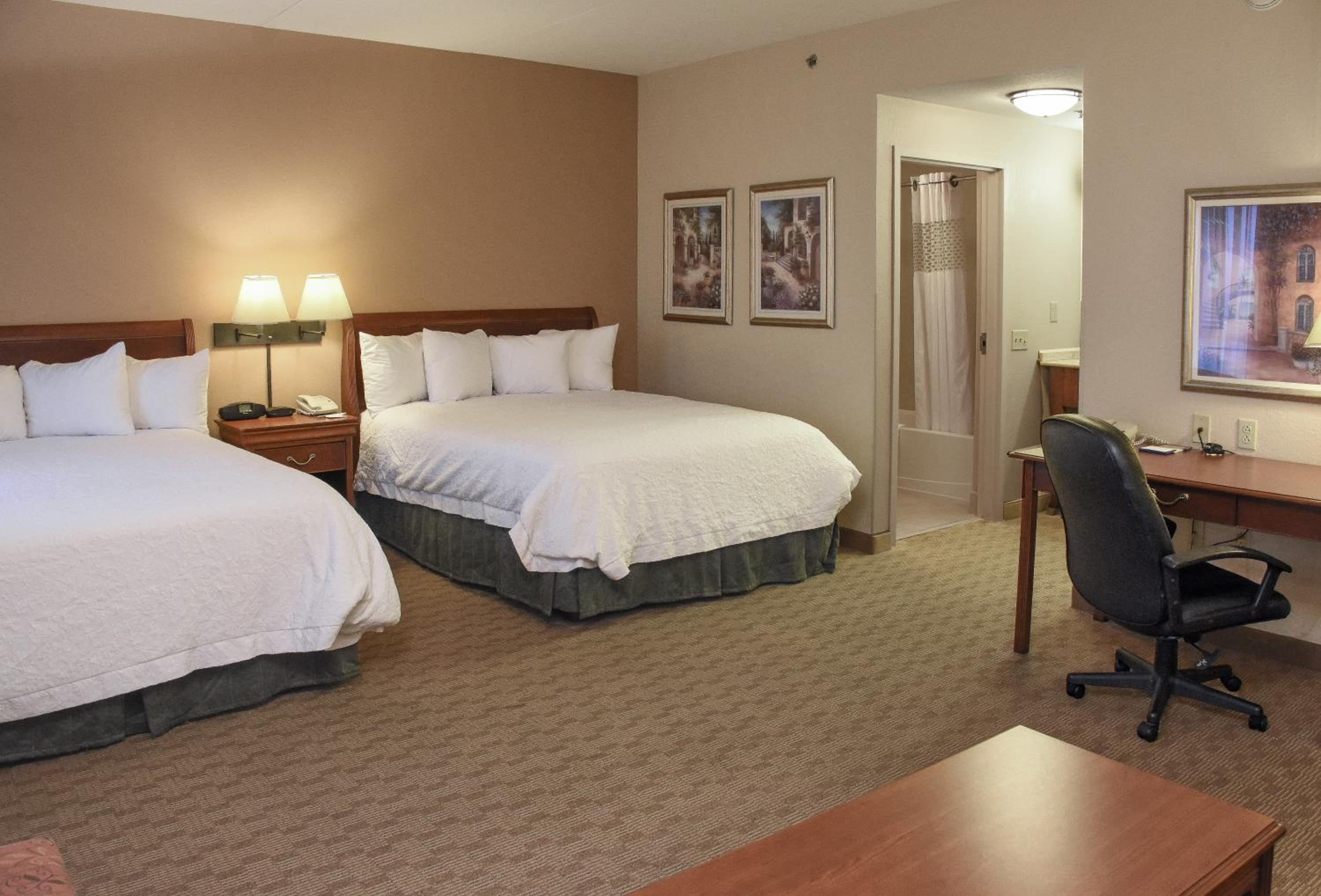 Queen Studio Suite with Two Queen Beds and Sofa Bed - Non-Smoking - Photo 4